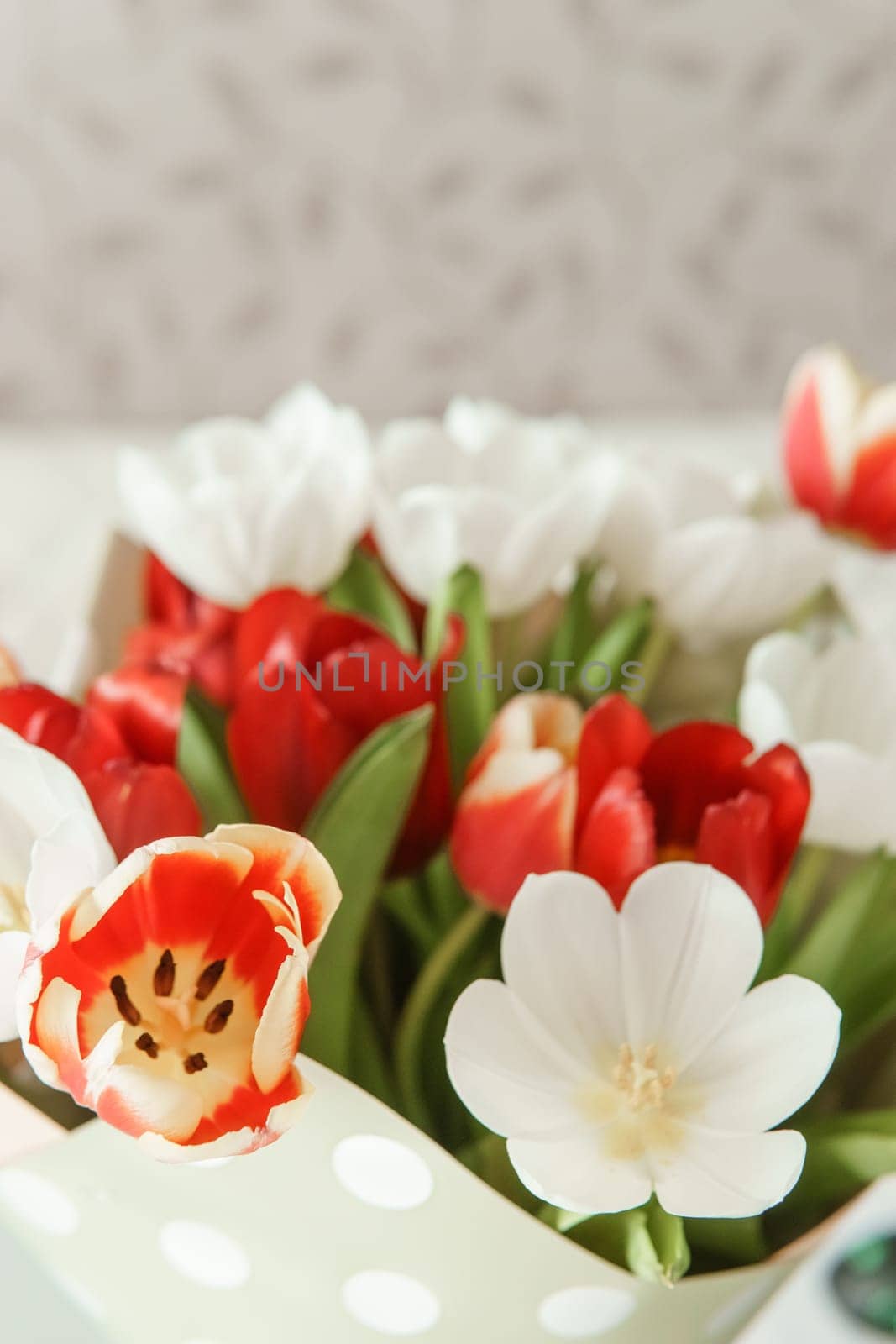 Celebration of Beauty: Tulips in Close-up as a Gift for March 8th by Annu1tochka