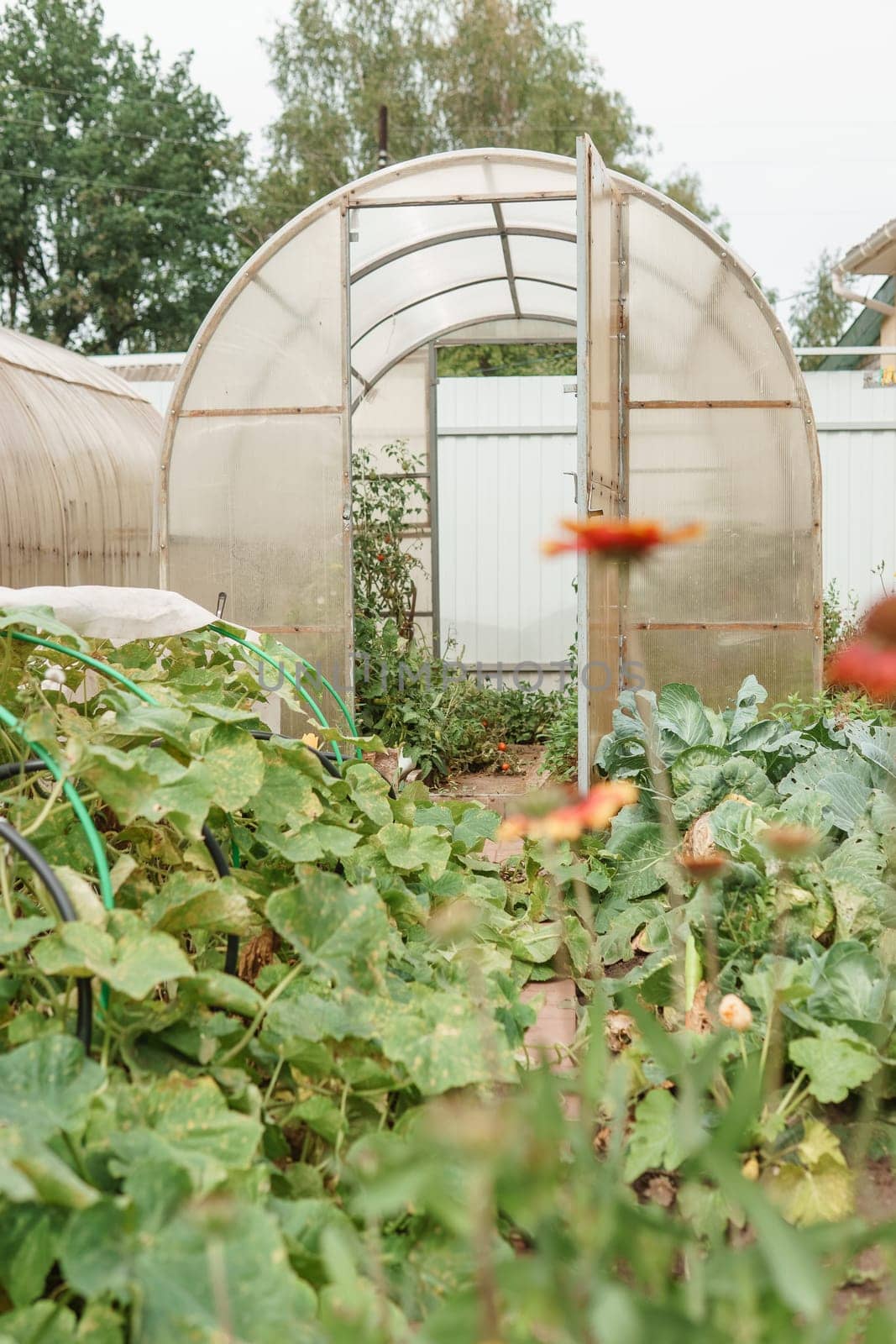 Large greenhouses for growing homemade vegetables. The concept of gardening and life in the country