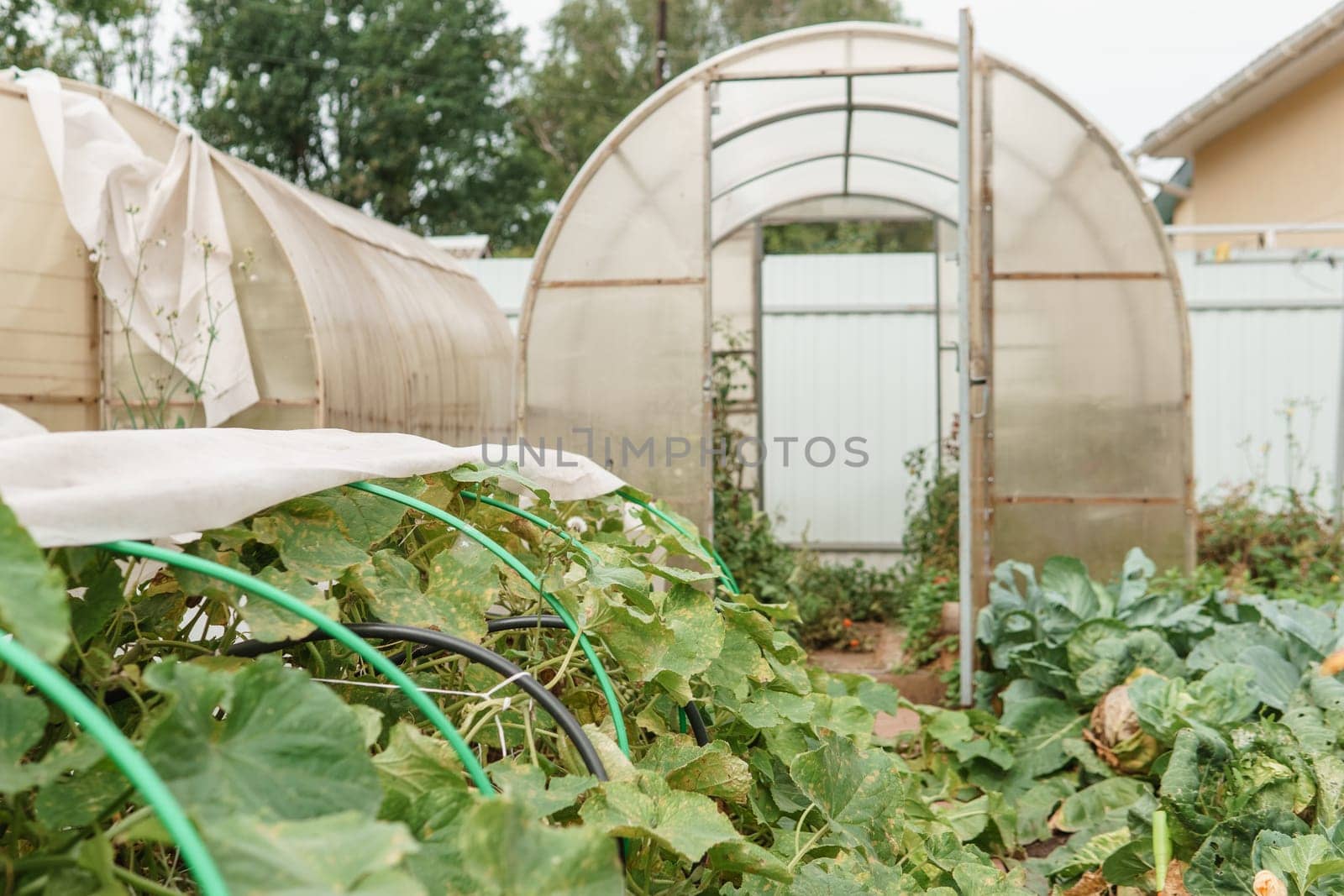 Large greenhouses for growing homemade vegetables. The concept of gardening and life in the country