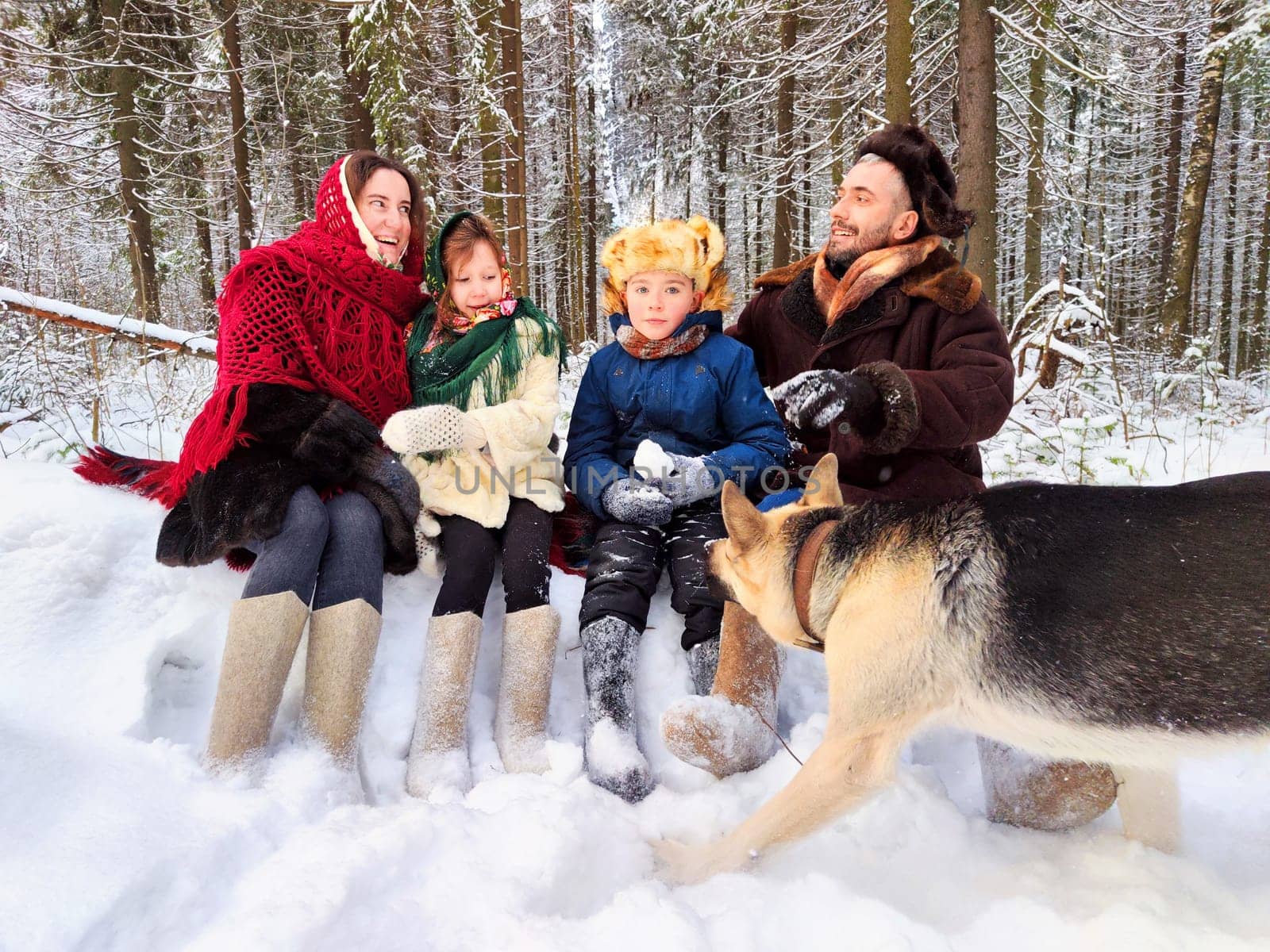 Joyful family ethnic dress with shawls and earflap hats and dog in winter forest in carnival Maslenitsa in Russia. Tourists in Shrovetide in spring. Mother, father, son, daughter having fun in snow by keleny