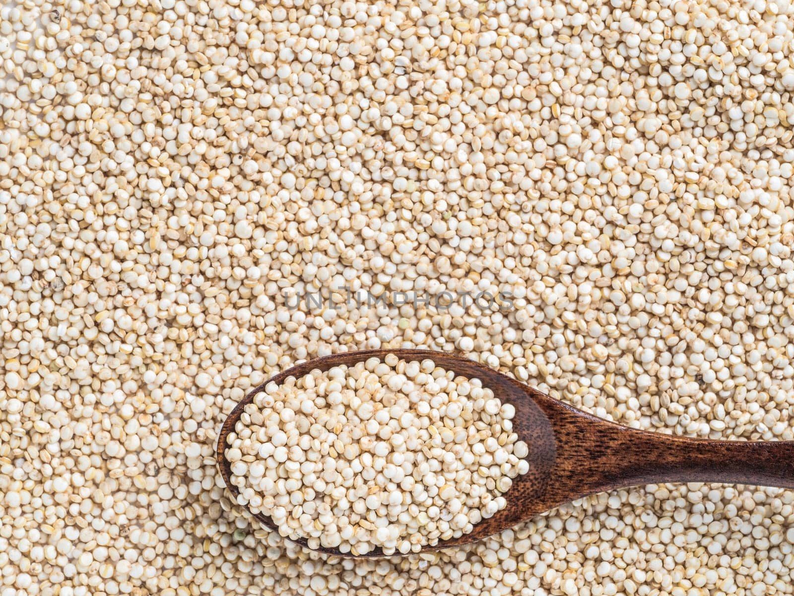 Grain of quinoa. Uncooked raw quinoa as background. Top view of quinoa with grains in wooden spoon. Copy space.