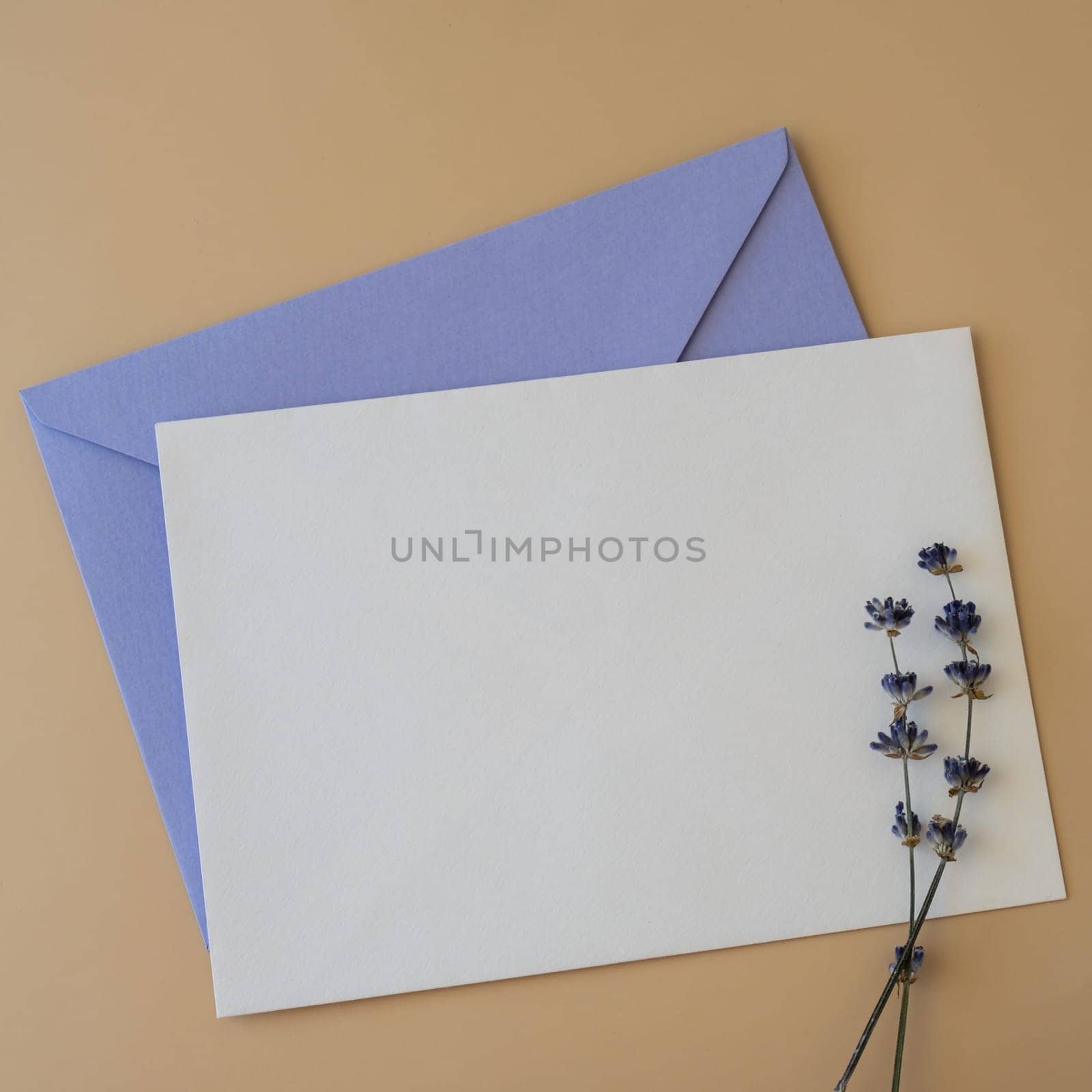 Empty white envelope paper card note template mock up. Copy space for your text. Lavender flower. Greeting or invitation card blank with envelope. Top view, flat lay