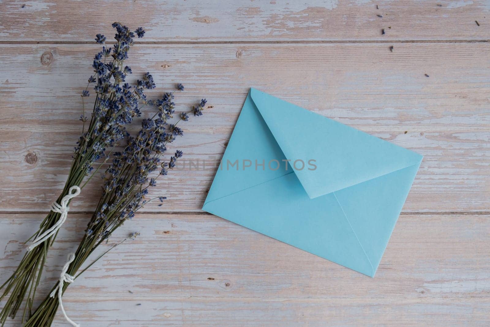 Empty blue envelope paper template mock up. Copy space for your text. Lavender flower. Greeting or invitation card blank with envelope by anna_stasiia