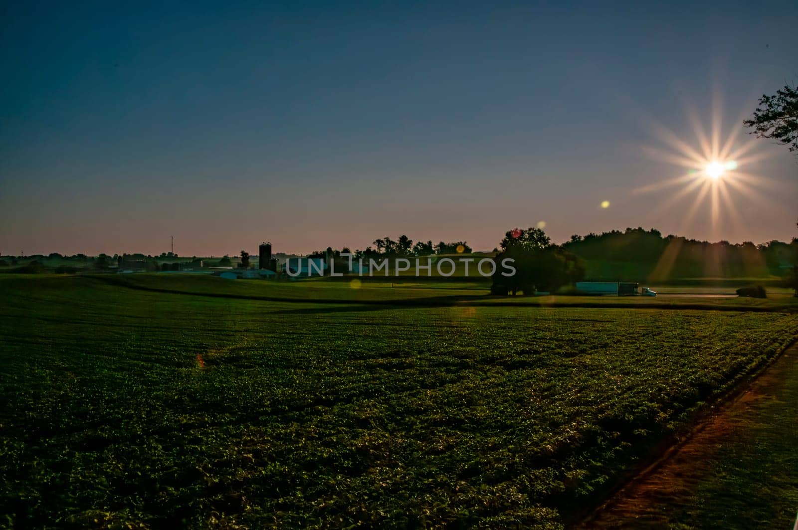 A serene sunrise casts a warm glow over a peaceful farmland, the sun's rays dramatically back lighting silhouetted farm structures and bathing the fields in golden hue, ideal for themes of agriculture