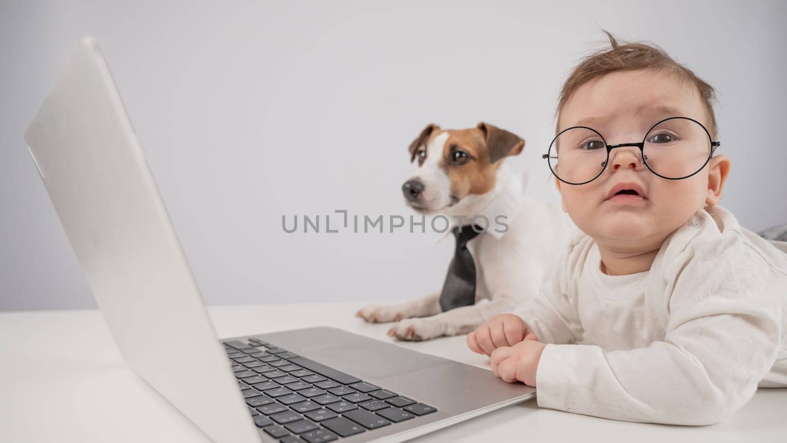 Cute baby boy and Jack Russell terrier dog working on a laptop