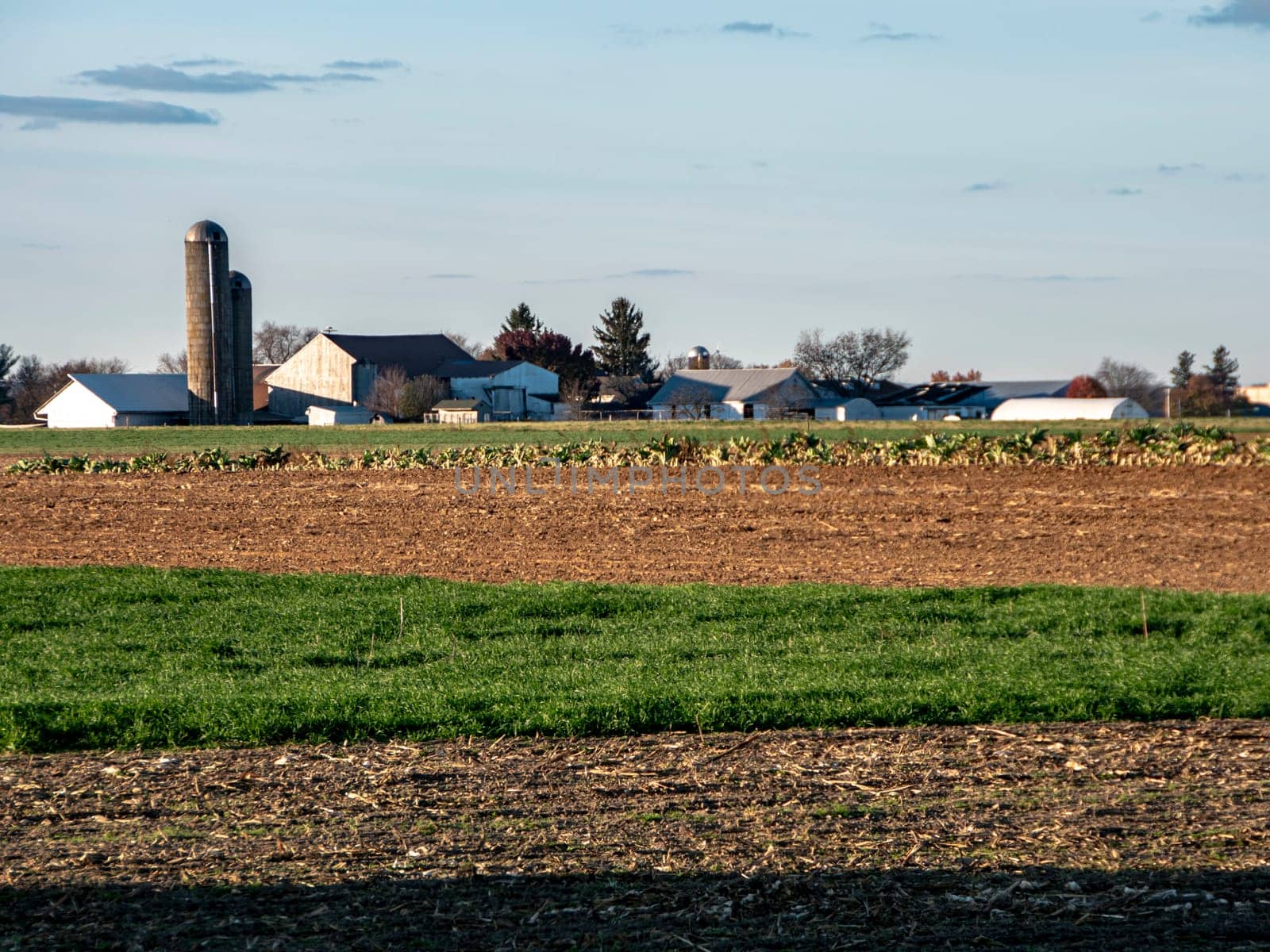 As dusk falls, a rustic farm with silos and barns is etched against the horizon, showcasing the beauty of agricultural life.