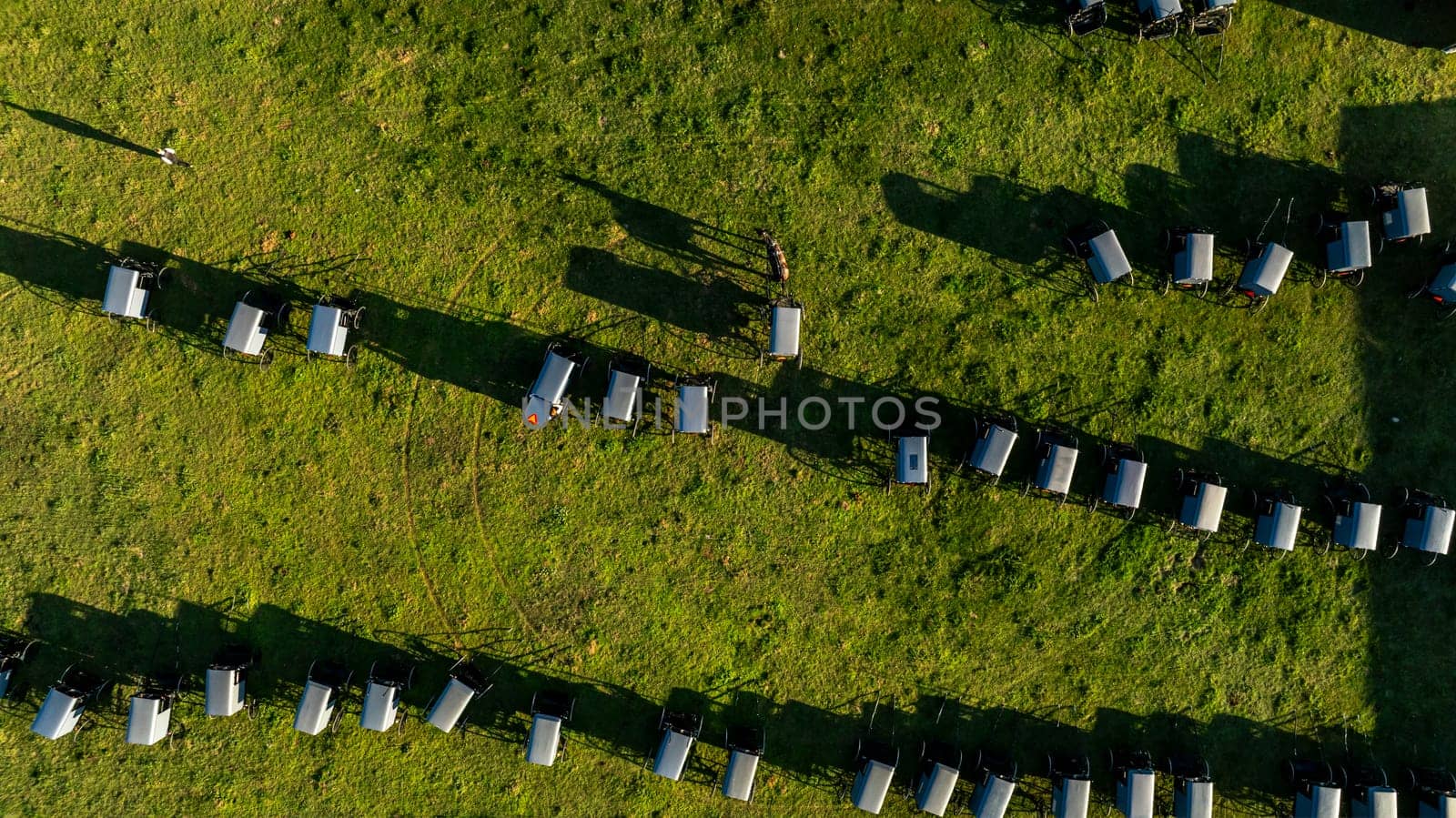 From the sky, the orderly arrangement of Amish buggies casts long shadows on the grass, evoking a sense of community and tradition at day's end. during an Amish Wedding