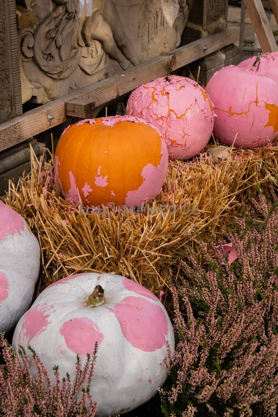 Exterior Beautiful atmospheric halloween pink pumpkins decorated on porch. Autumn leaves and fall flowers celebration holiday Thanksgiving October season outdoors in city