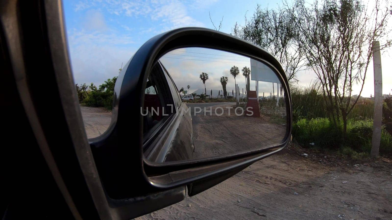 View of palm trees and a sunny day through the rearview mirror of a car