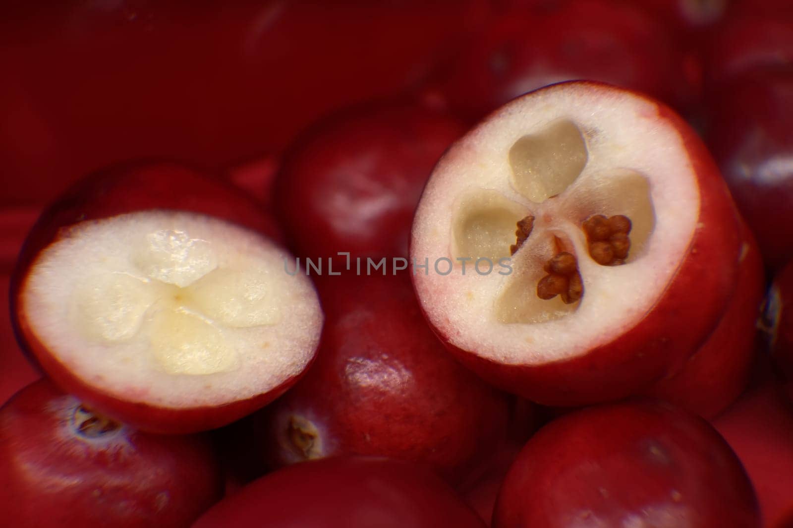 Half-cut cranberry shown revealing white interior with red seeds, macro image