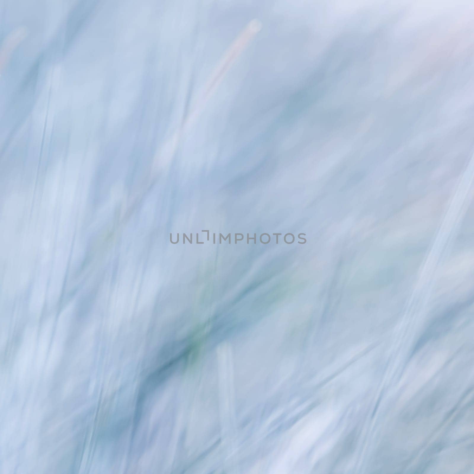 Abstract blue background. Blurred grass by Olayola