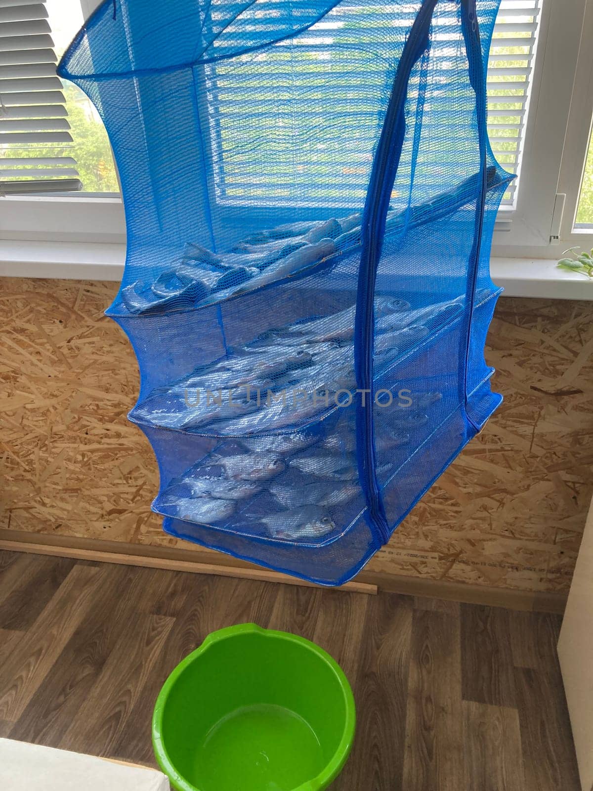 Drying salted fish for the jerky