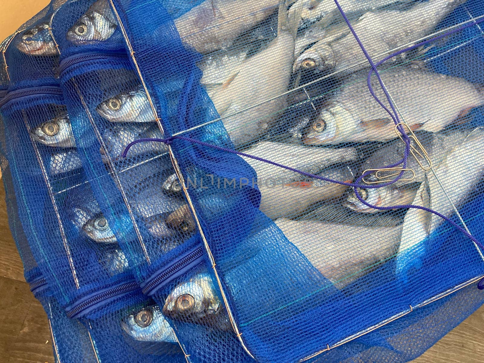 Drying salted fish for the jerky