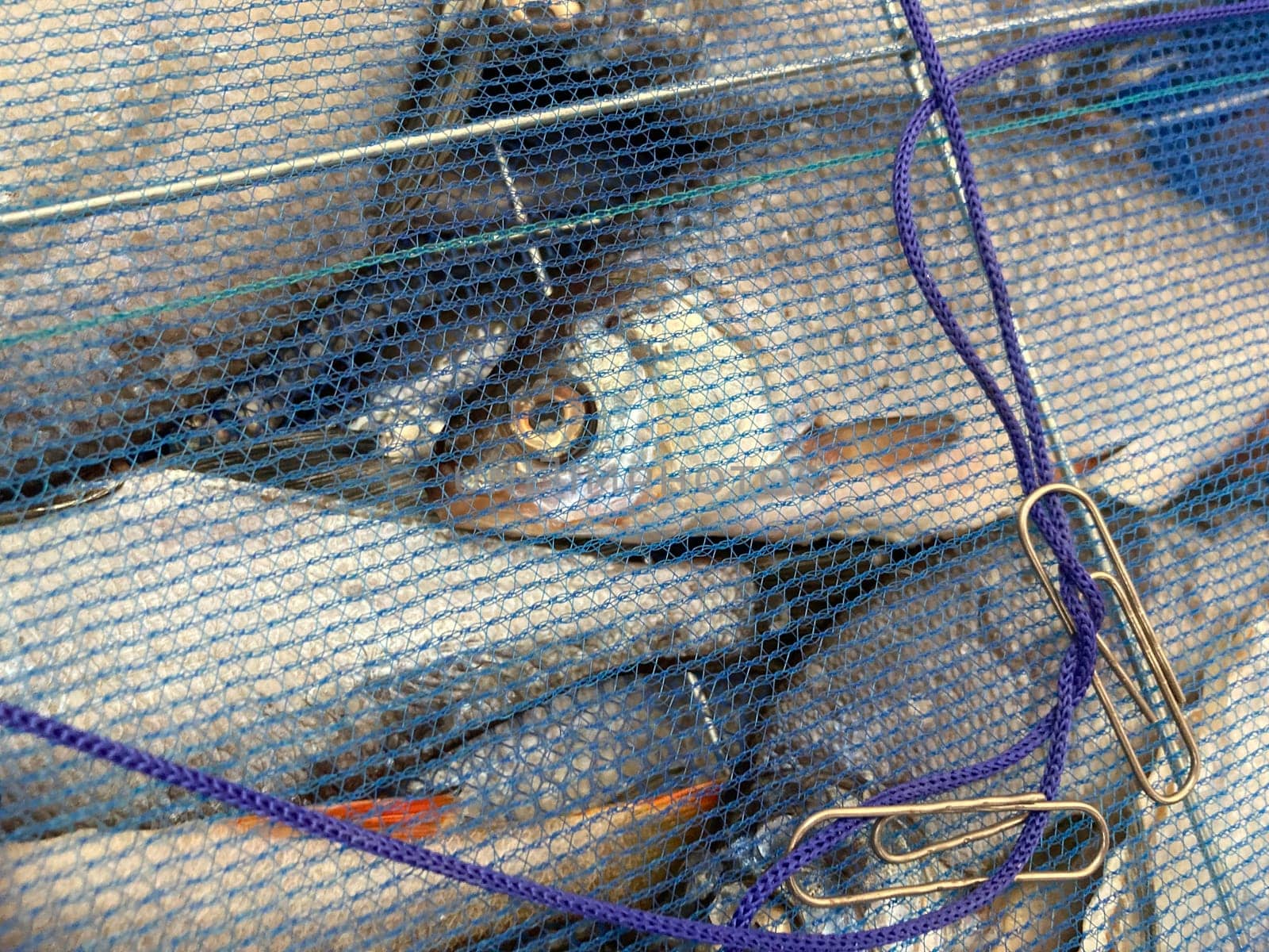 Drying salted fish for the jerky