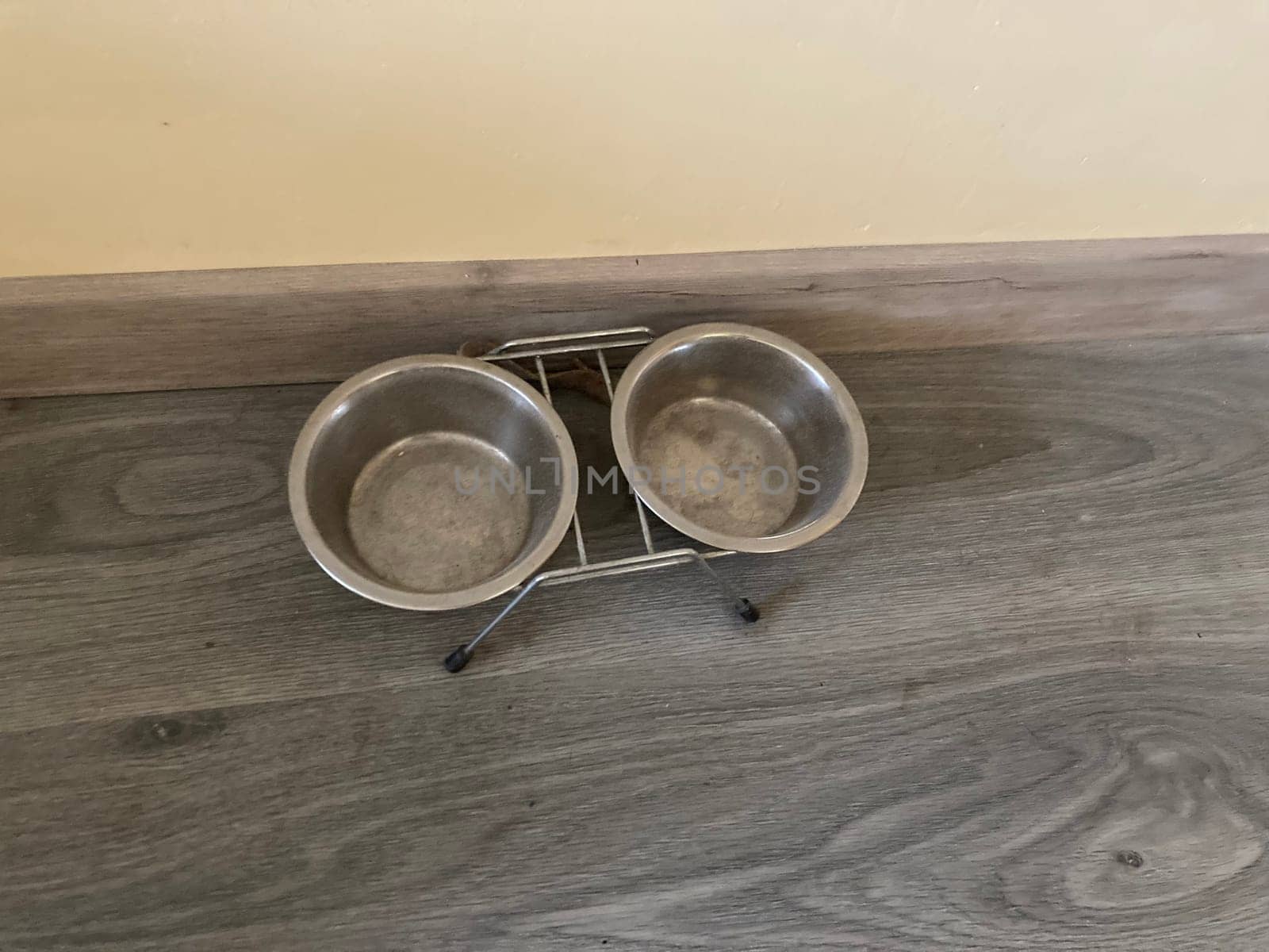 Food feeder for dogs and cats in the house by architectphd