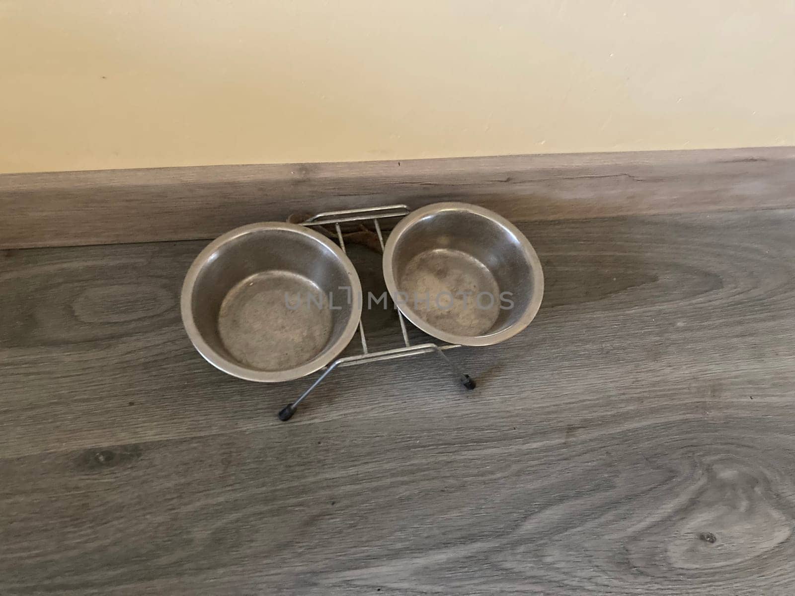 Food feeder for dogs and cats in a the house