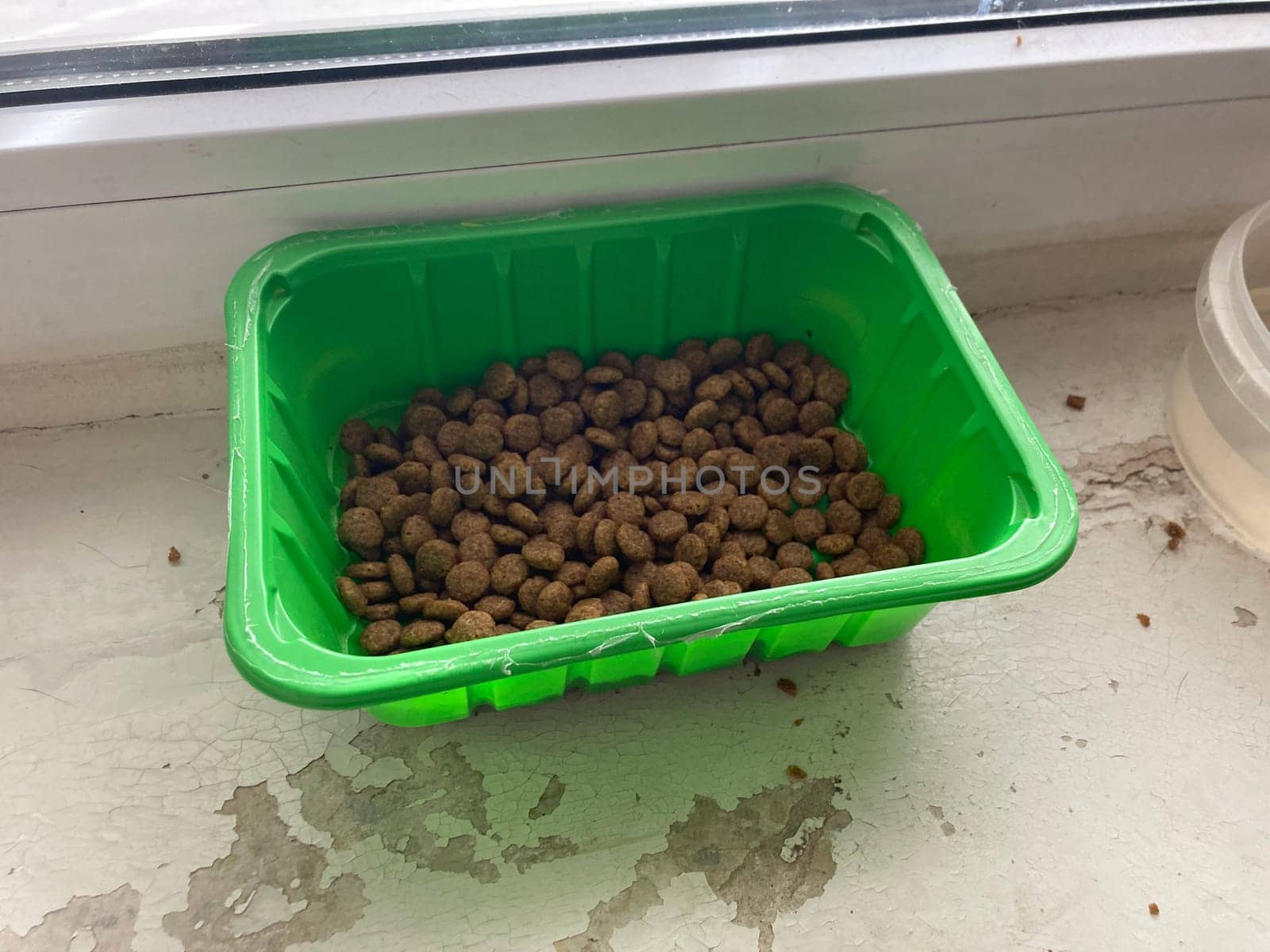 Food feeder for dogs and cats in a the house