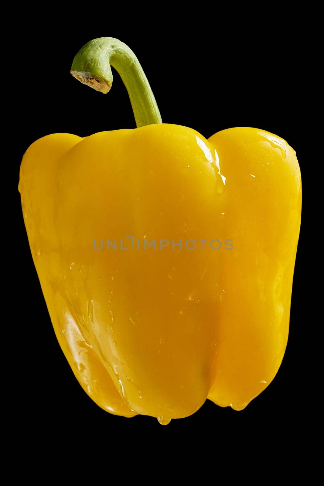 Closeup of yellow fresh organic pepper with drops of water on black background