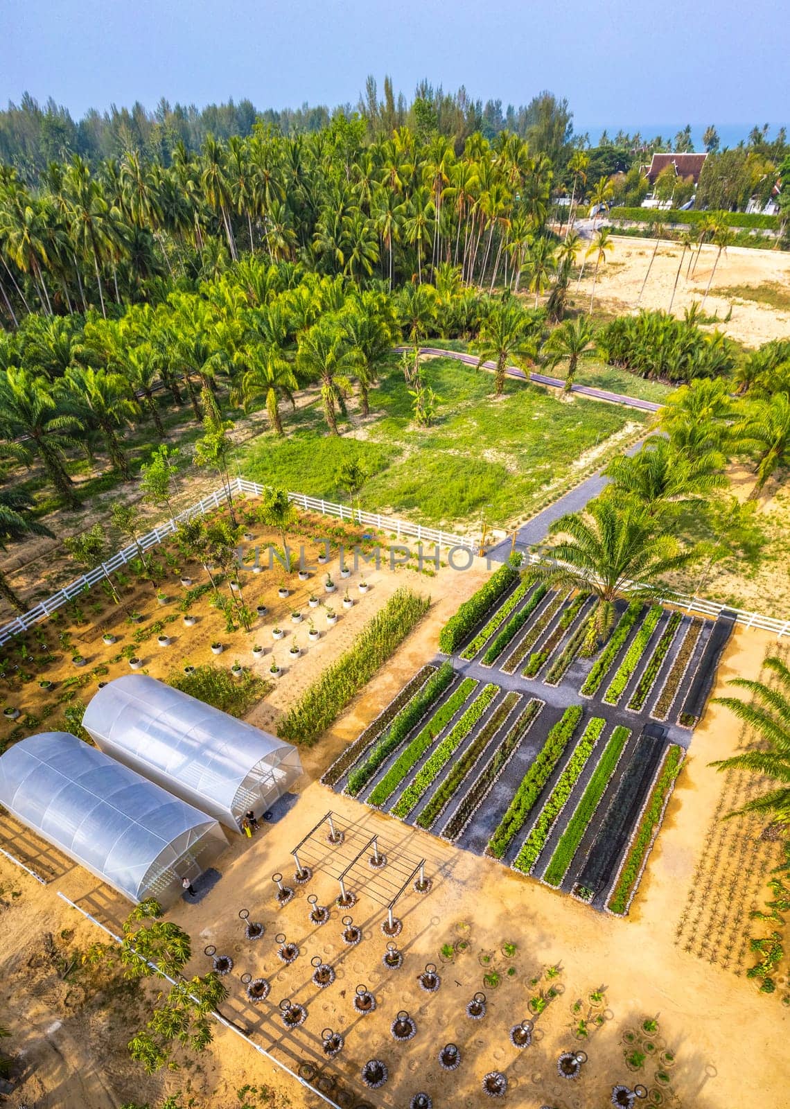 Botanic garden in Khao Lak beach in Phang Nga, Thailand, south east asia