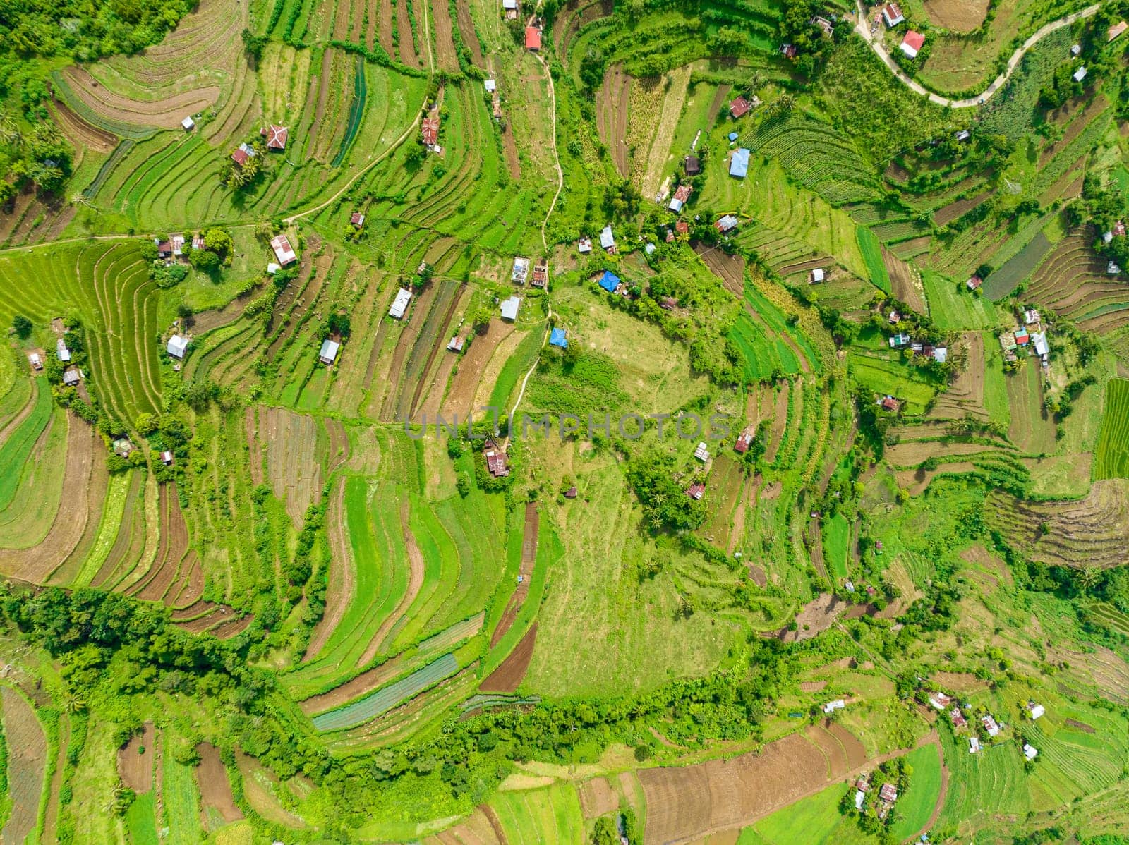 Aerial drone of terraces with farmland on the slopes of the hills in the highlands. Negros, Philippines