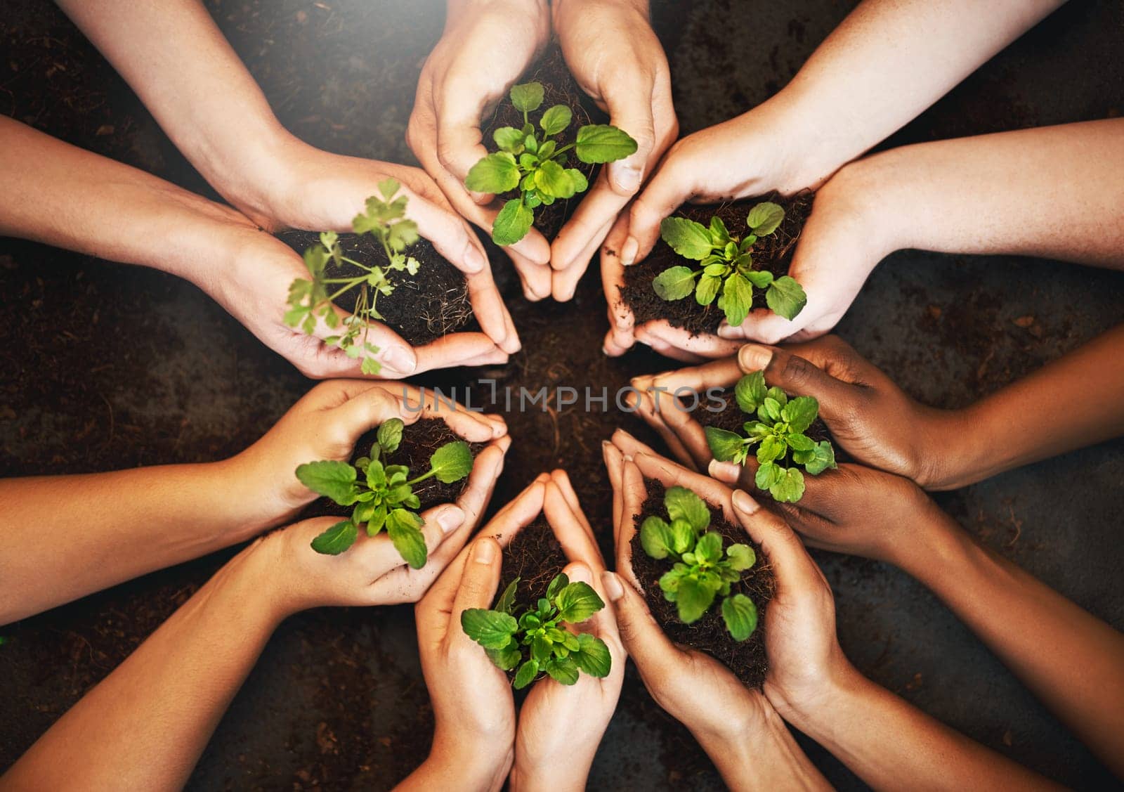 Person, natural and plant for growth with hands, earth day with support for environment and nature recourses. Agriculture, eco friendly and green energy for sustainability, collaboration in ecology by YuriArcurs