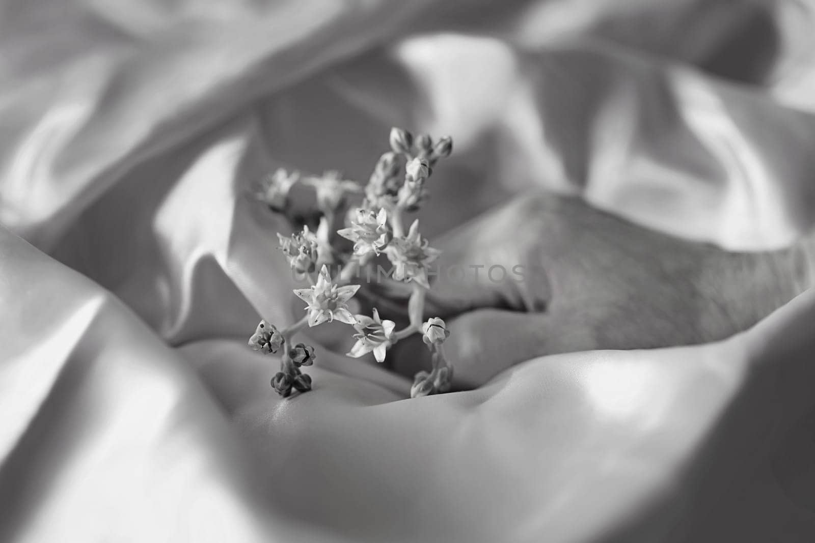 Female hand with flowers , monochrome photo, creative and romantic occupation