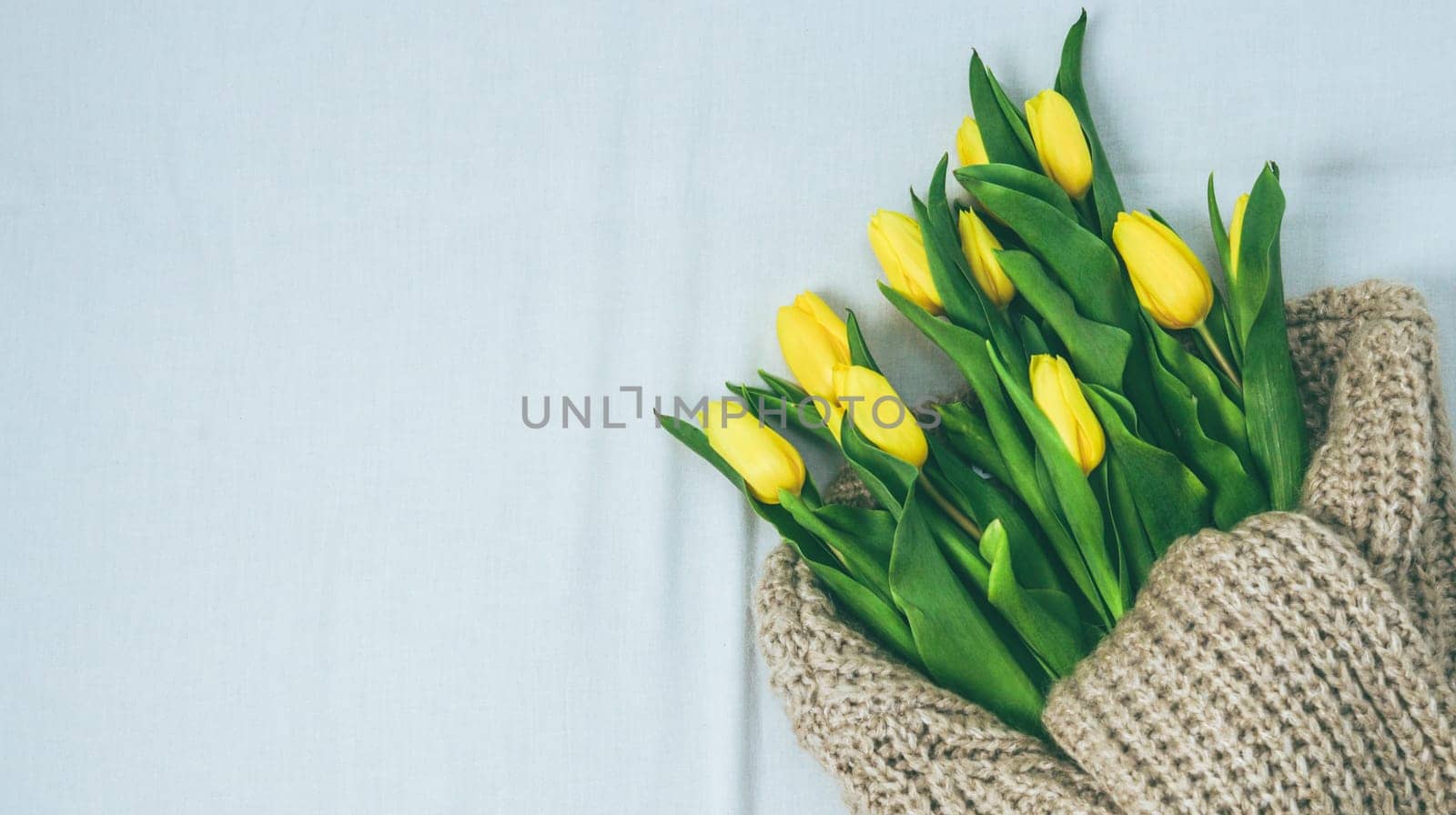 One bouquet of unblown yellow tulips in a knitted sweater lies on the right on a bed with a white sheet and a copy of the space on the left, flat lay close-up.
