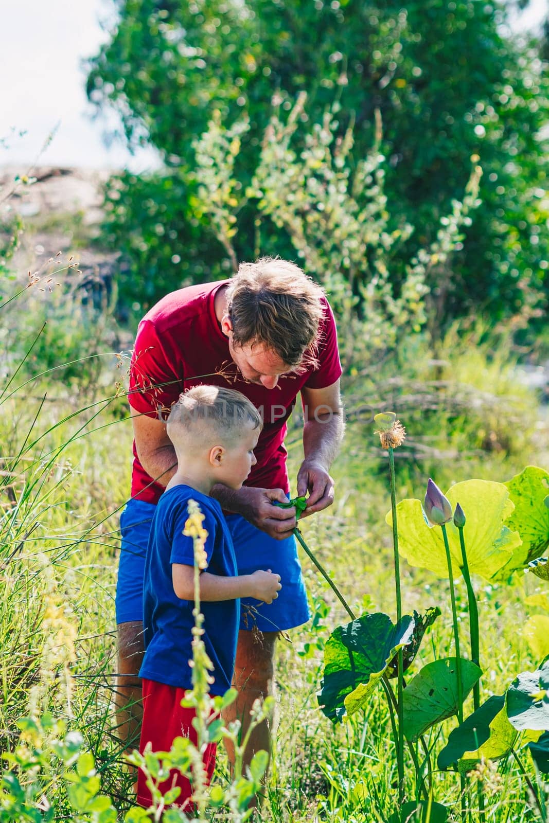 Father son study plants, looking on buds flower bud leaves stamens petals. Natural sciences, family education. Happy childhood parenthood harmony.