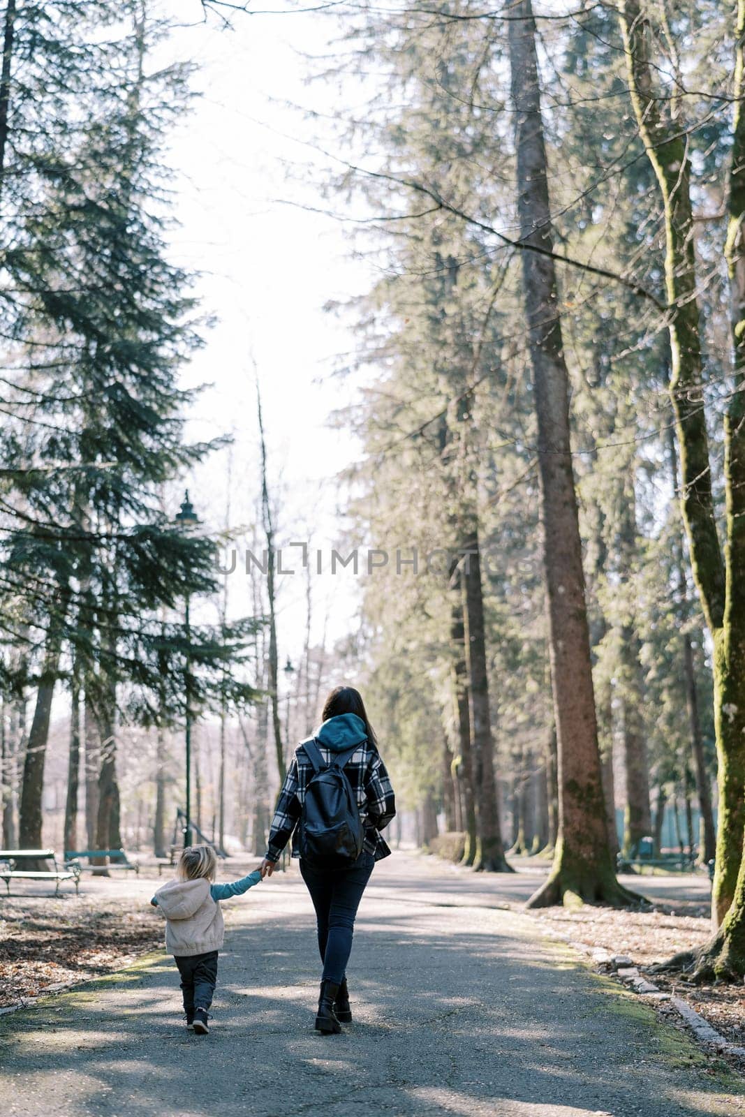 Mom and a little girl walk holding hands along the road in a coniferous forest. Back view. High quality photo