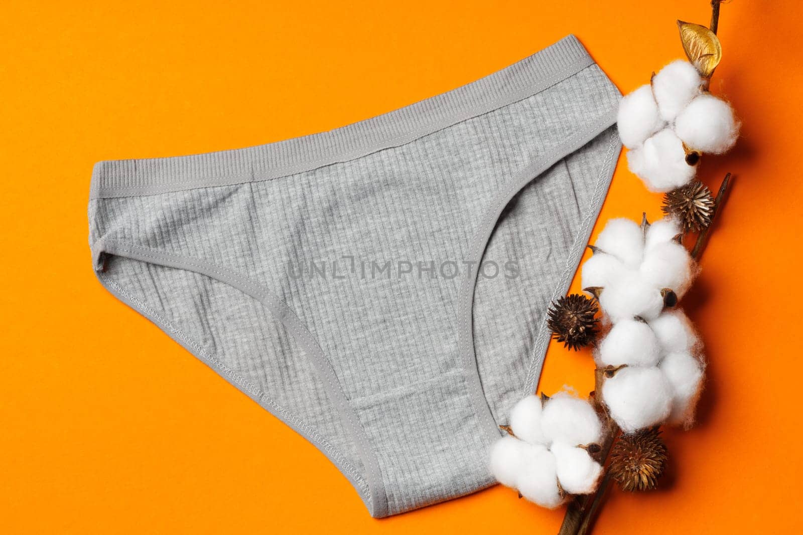 Cotton flowers and women's panties on color paper background close up