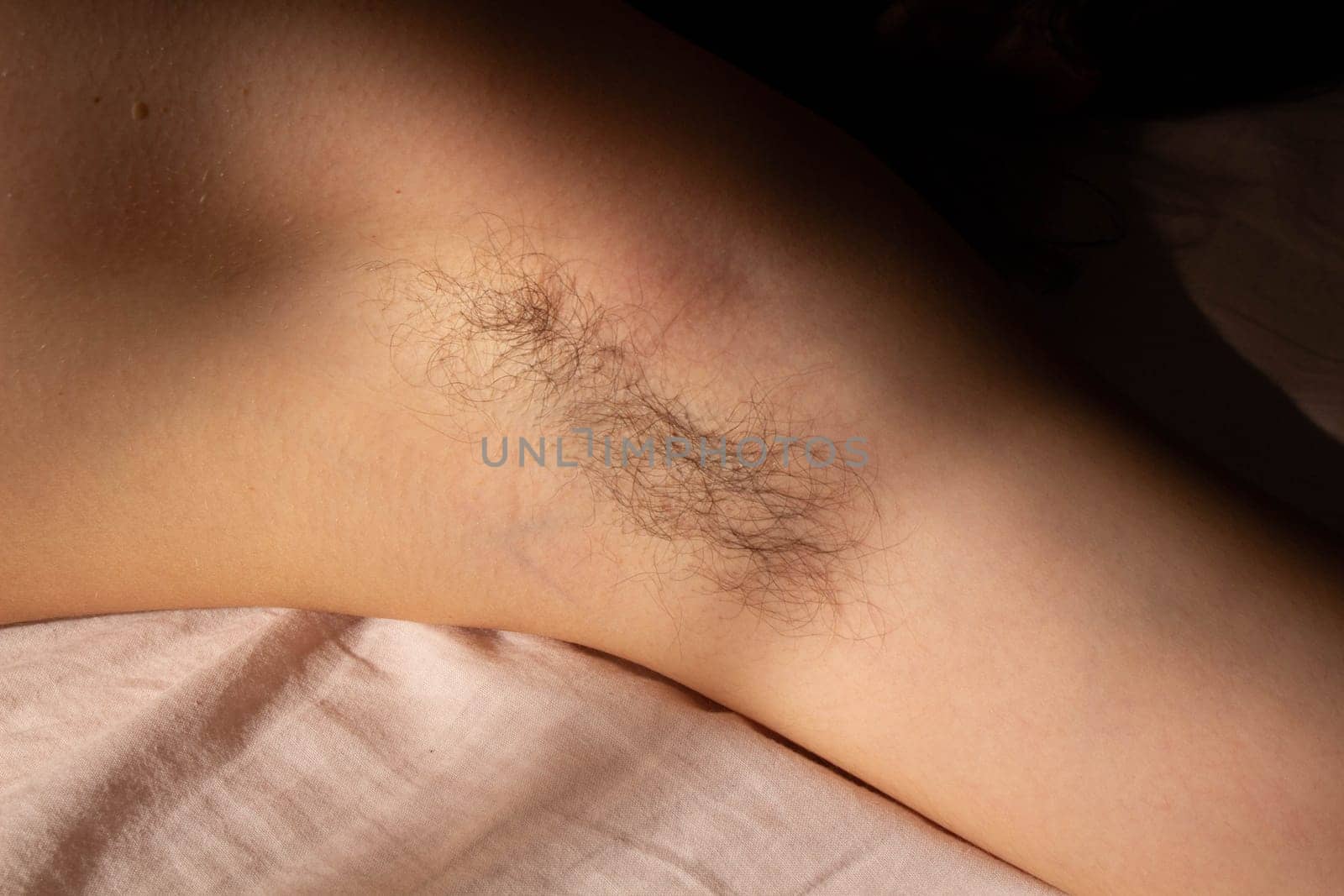 Natural Beauty Female Armpit with Hair by DakotaBOldeman