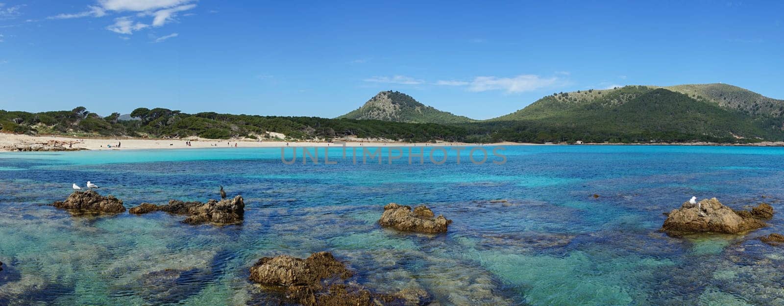 Cala Agulla, a stunning beach in northern Mallorca, bathed in sunlight with clear blue waters and mountains