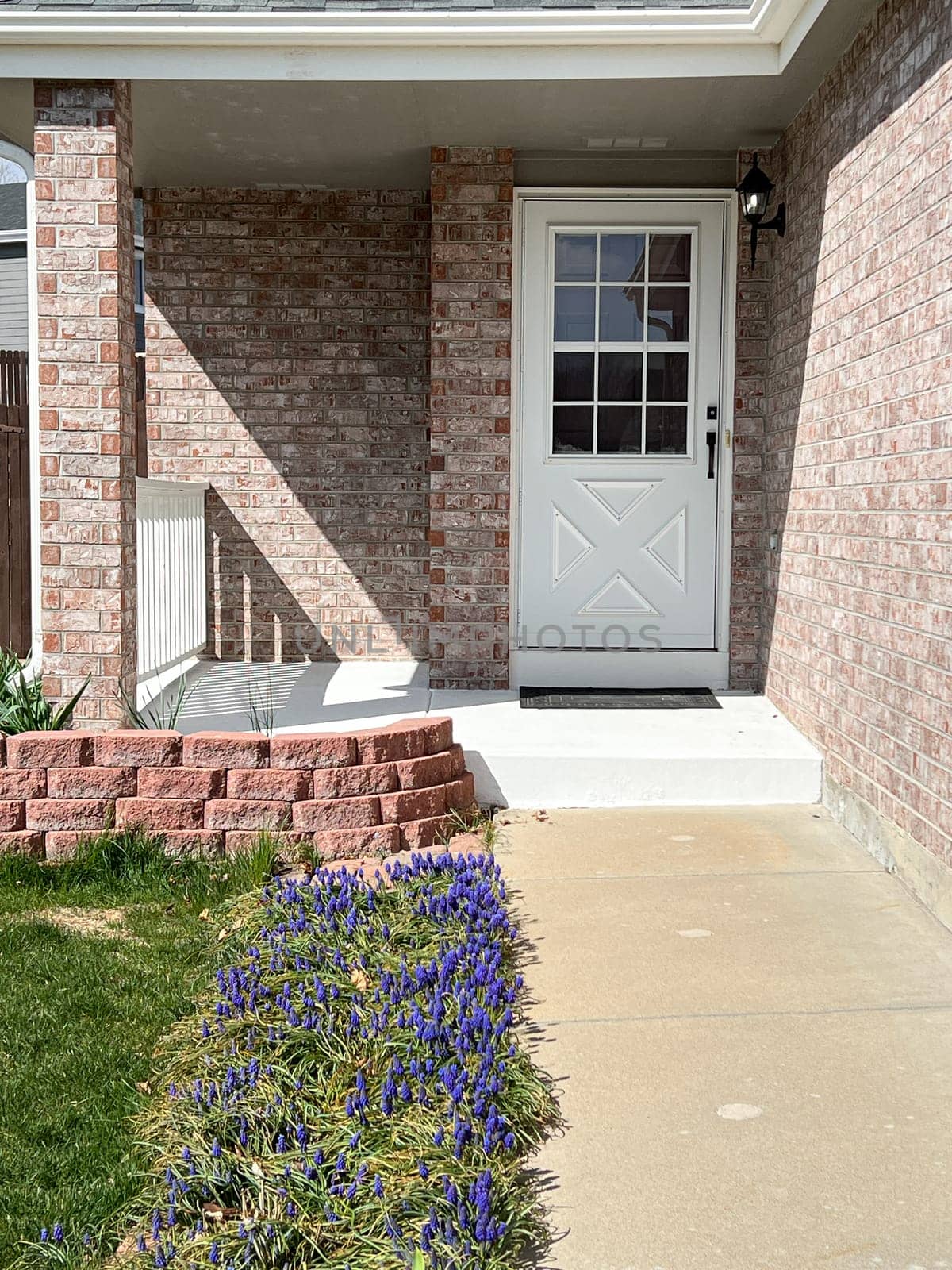 charming front yard of a suburban house, basking in the warm glow of sunlight, with well-manicured lawns and colorful flowers adding to its appeal.