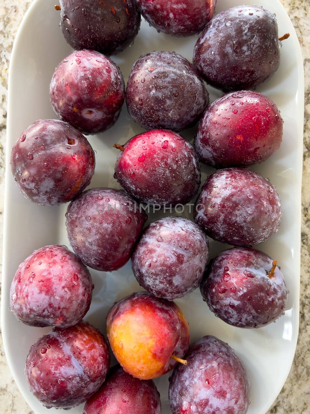 Fresh Plums on a Plate in a Bright Modern Kitchen Setting by arinahabich
