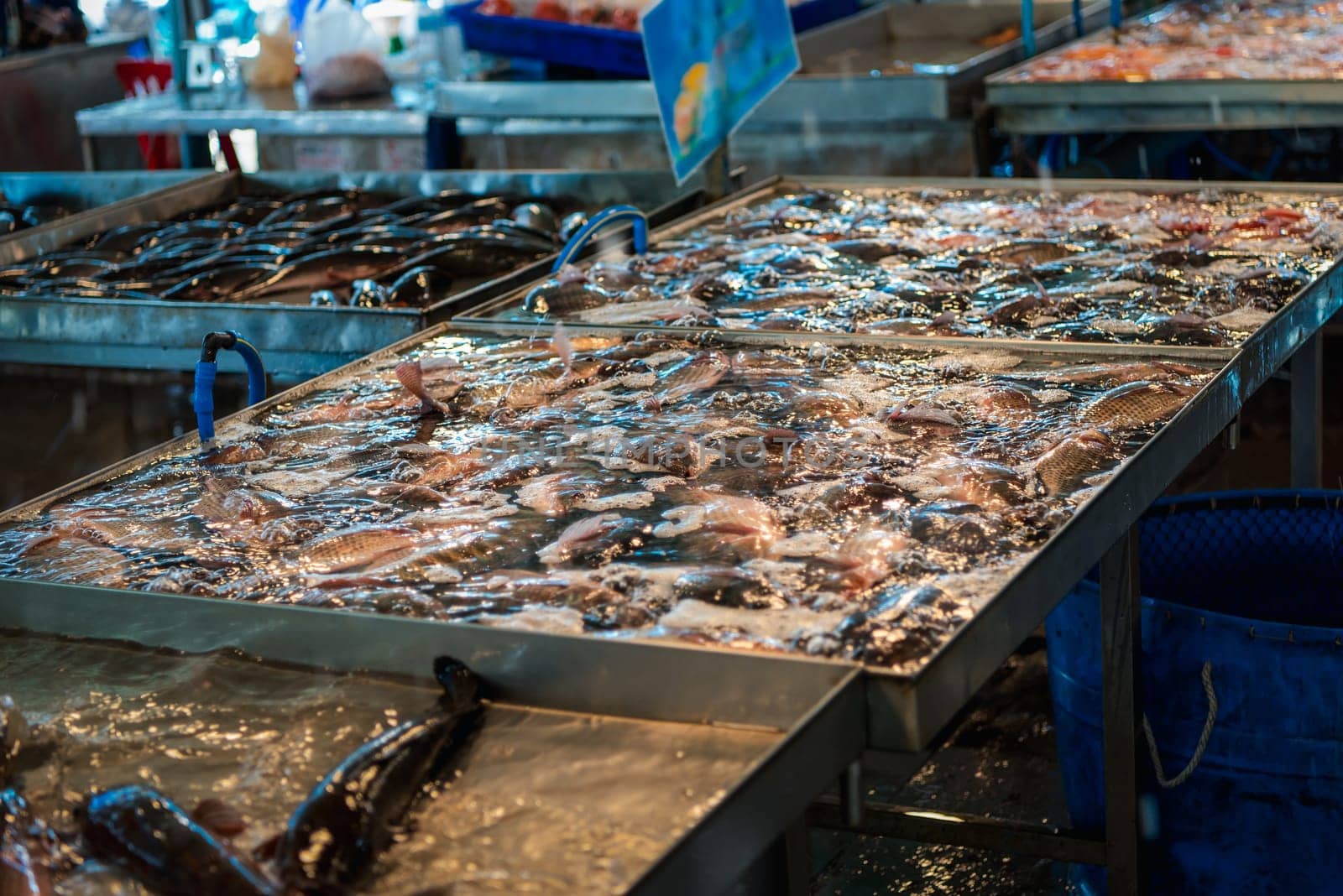 Fresh raw sea fishes at seafood and fish market by NongEngEng