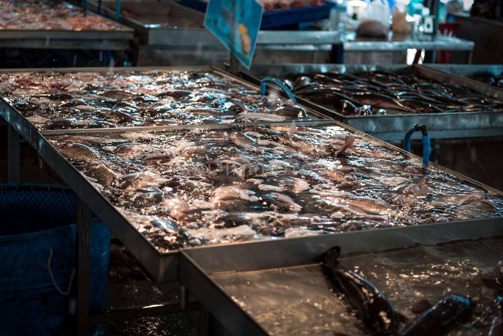 Fresh raw sea fishes at seafood and fish market by NongEngEng