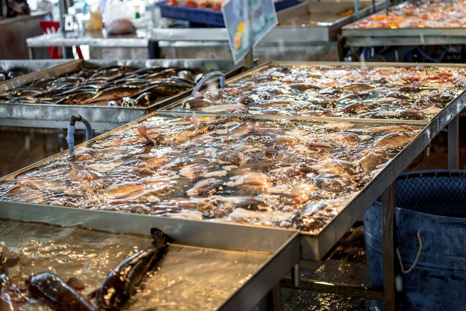 Fresh raw sea fishes at seafood and fish market by NongEngEng