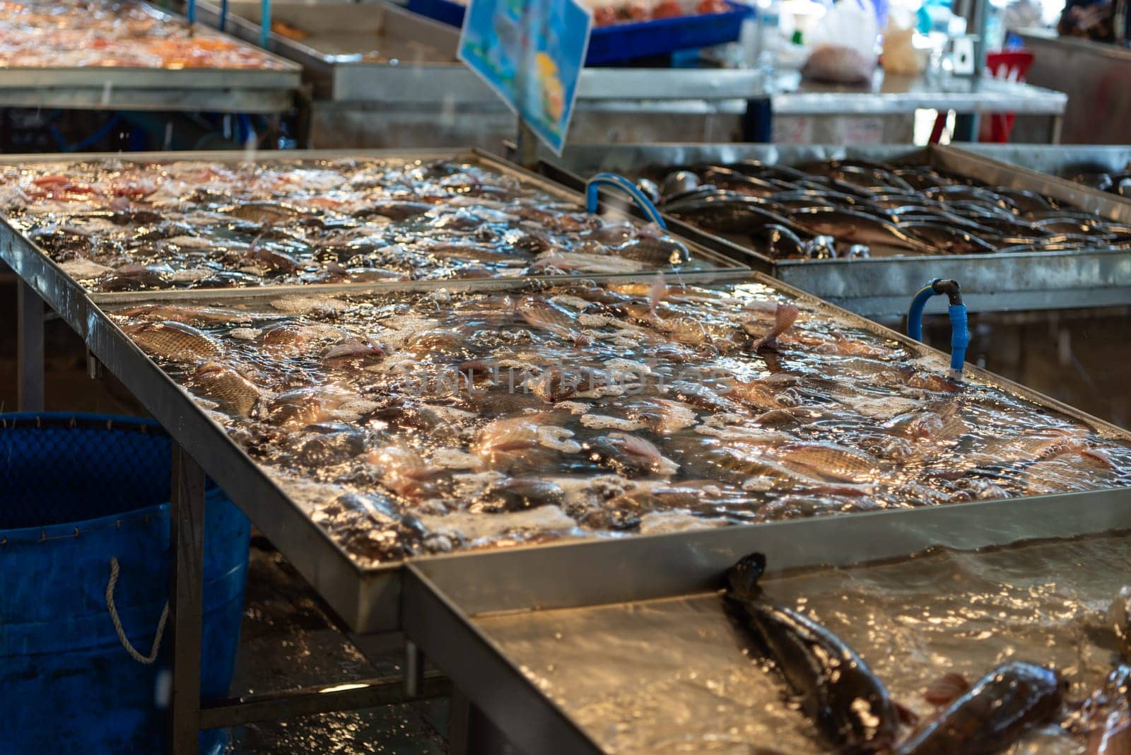 Fresh raw sea fishes at seafood and fish market by NongEngEng
