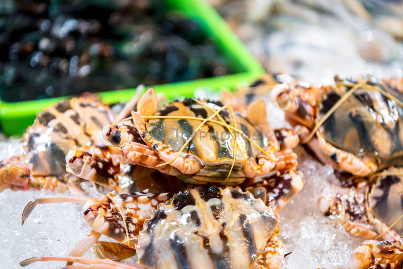 Fresh raw sea flower crab (portunus pelagicus) premium grade display for sale at seafood market or Thai street food use for cook steamed blanched crab