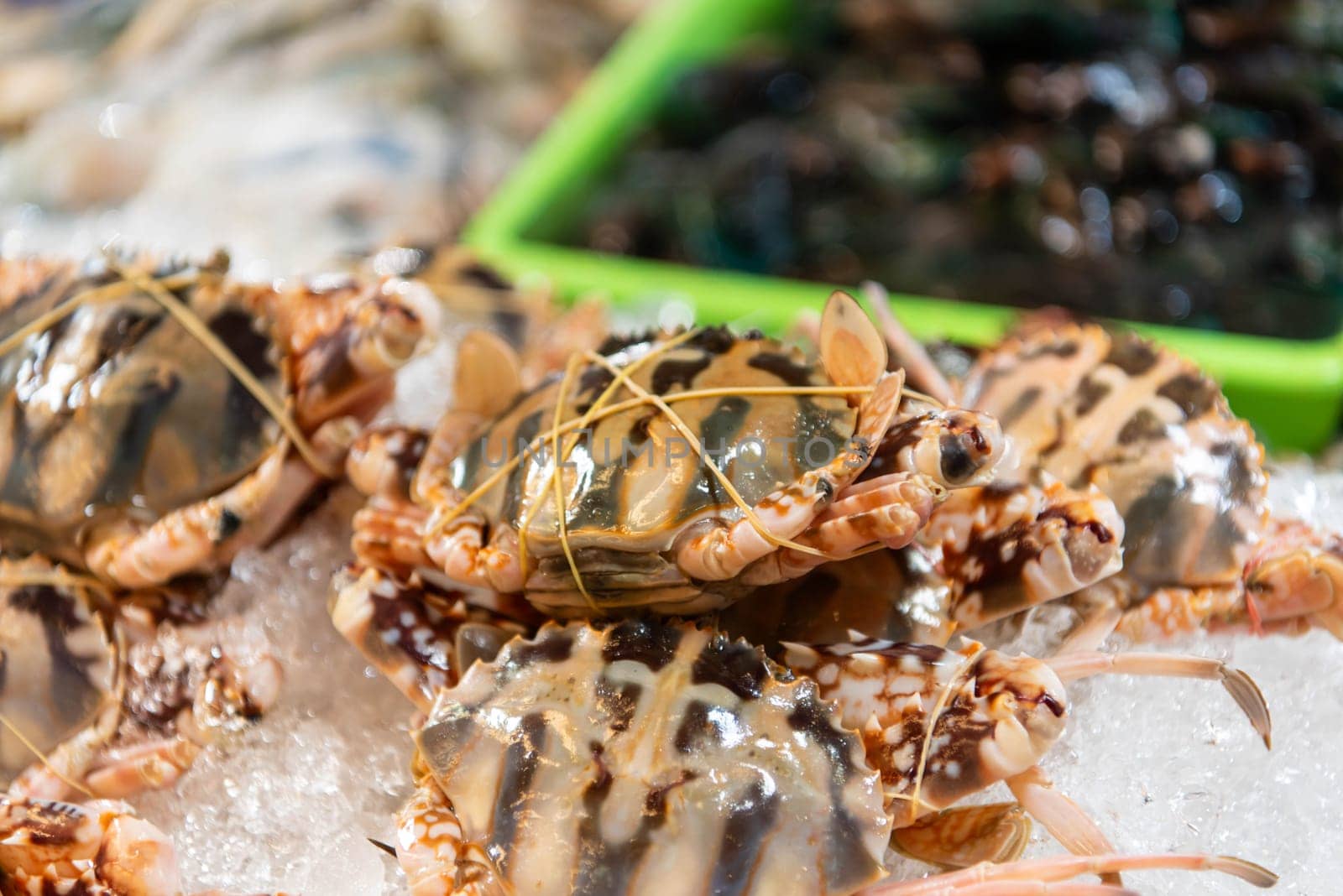 Fresh raw flower crab at Thai seafood market by NongEngEng