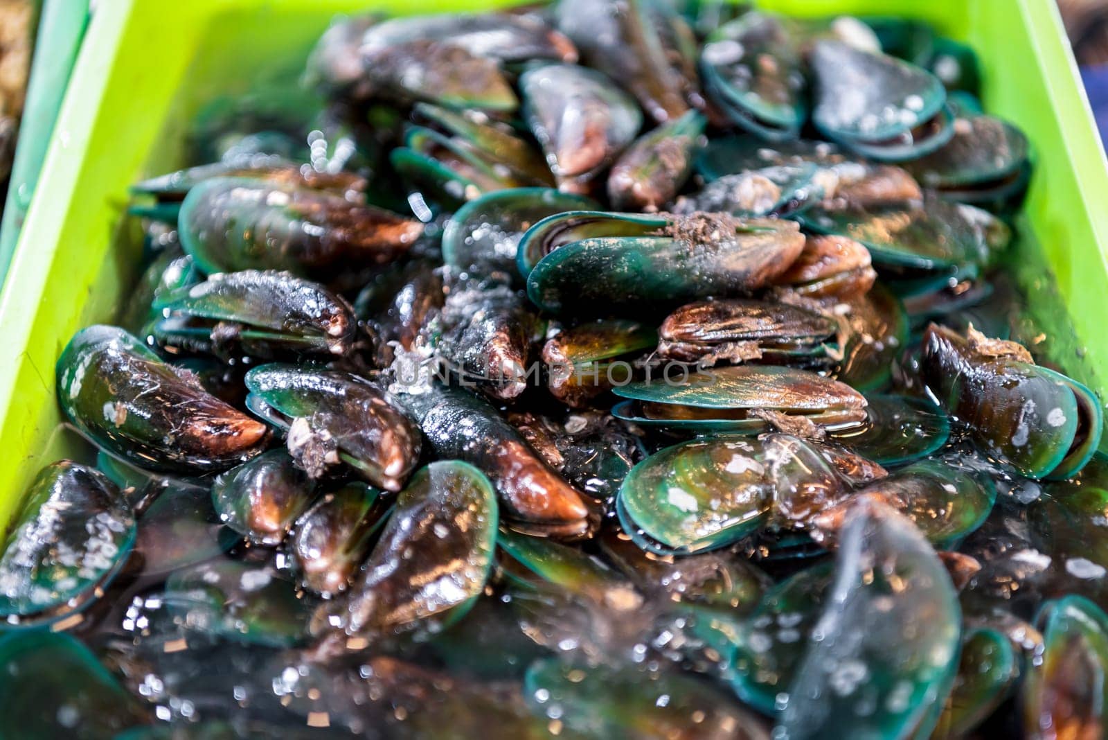 Fresh raw sea mussels clams at seafood market by NongEngEng