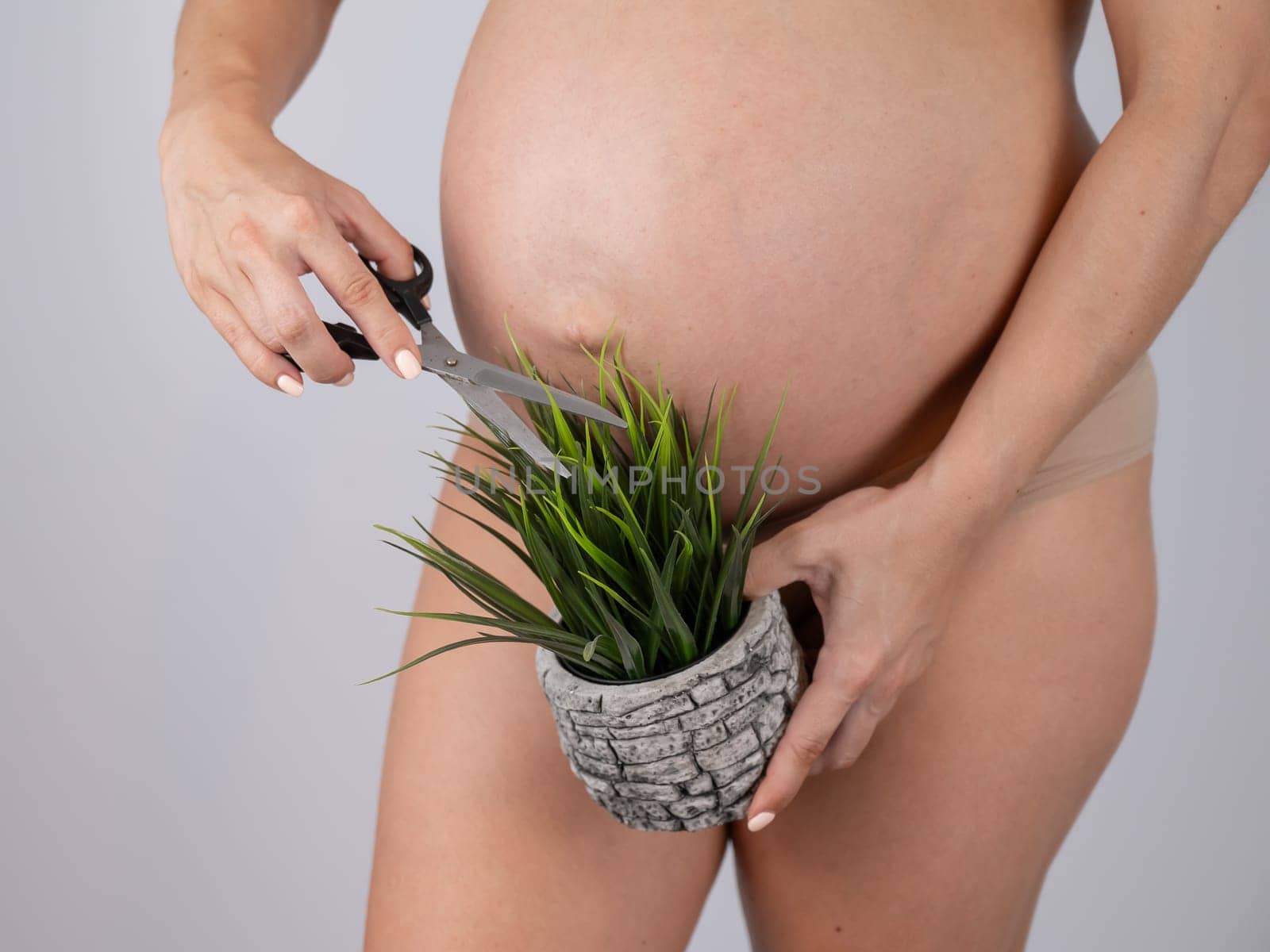 A faceless pregnant woman cuts a plant with scissors. Metaphor for epilation of the bikini area. by mrwed54