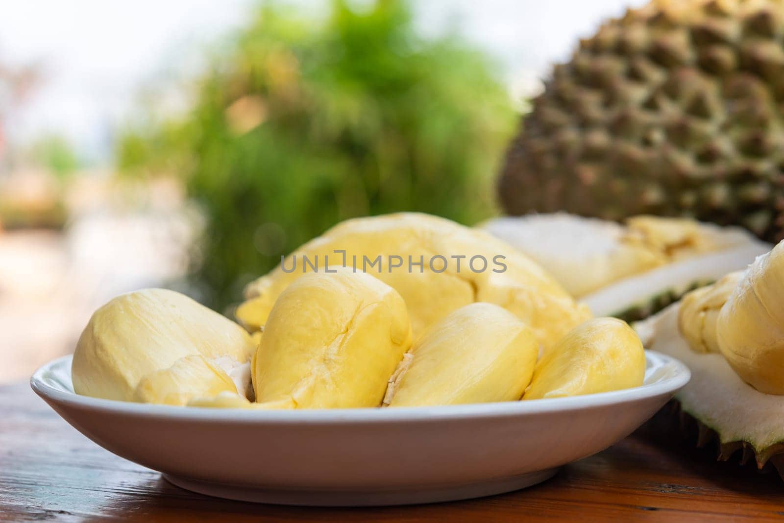 Durian is a king of fruit in Thailand and asia fruit have a spikes shell and sweet can buy at Thai street food and fruit market at agriculture farm