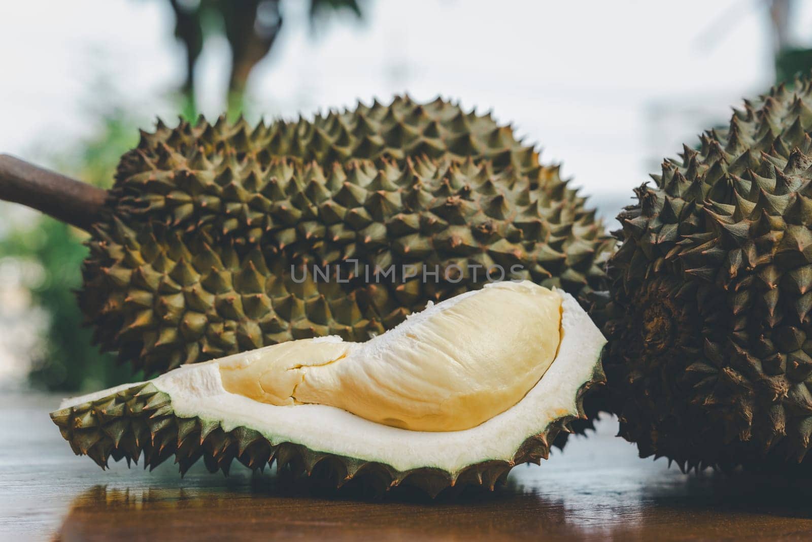 Durian is a king of fruit in Thailand and asia fruit have a spikes shell and sweet can buy at Thai street food and fruit market at agriculture farm