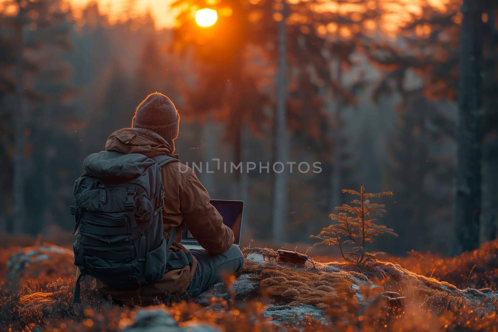 A man with a backpack sits on a rock in the woodland, surrounded by trees and plants. The sunlight filters through the leaves as he works on his laptop in the natural landscape