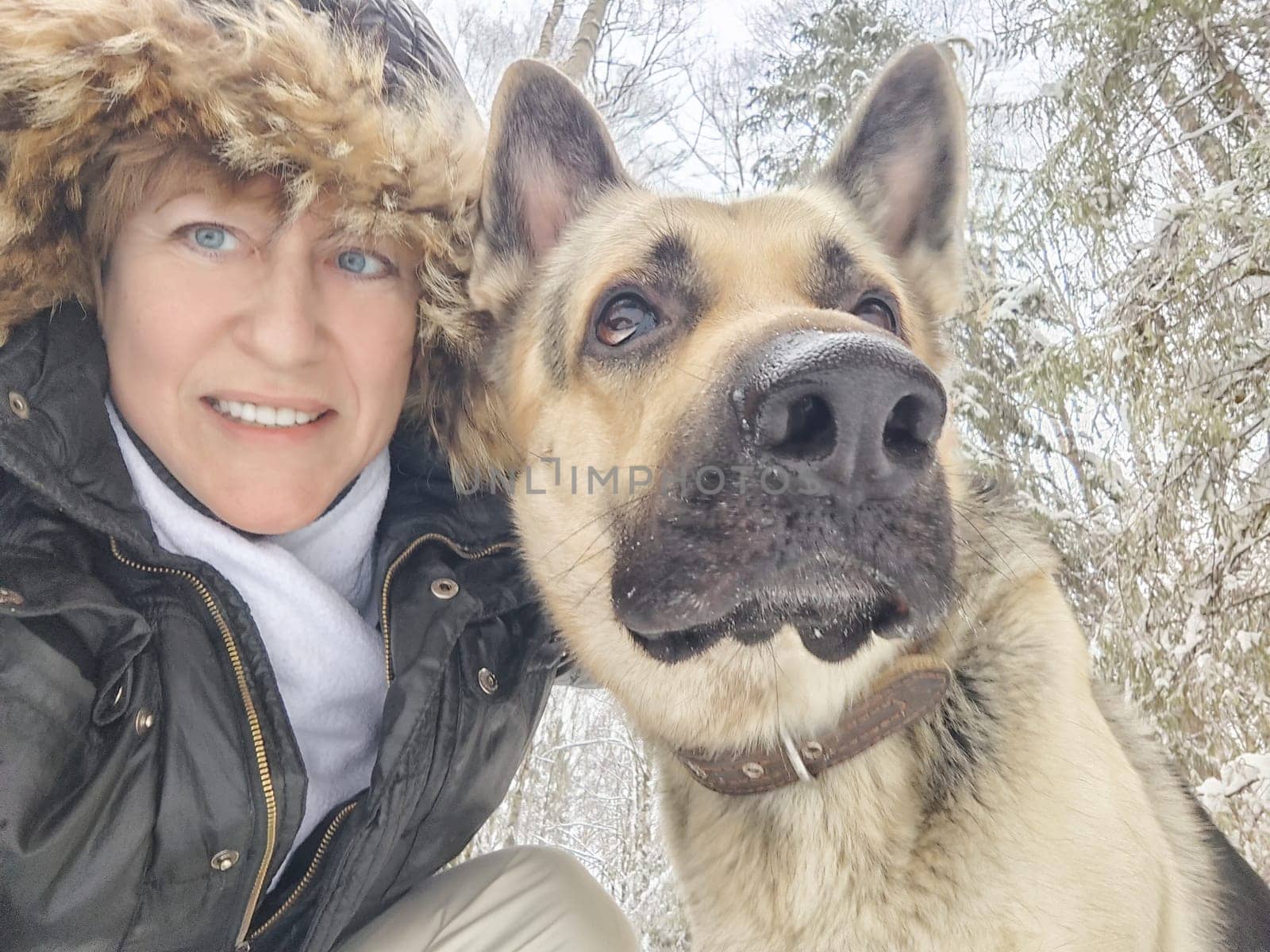 Adult girl with shepherd dog taking selfies in winter forest. Middle aged woman and big shepherd dog on nature in cold day. Friendship, love, communication, fun, hugs