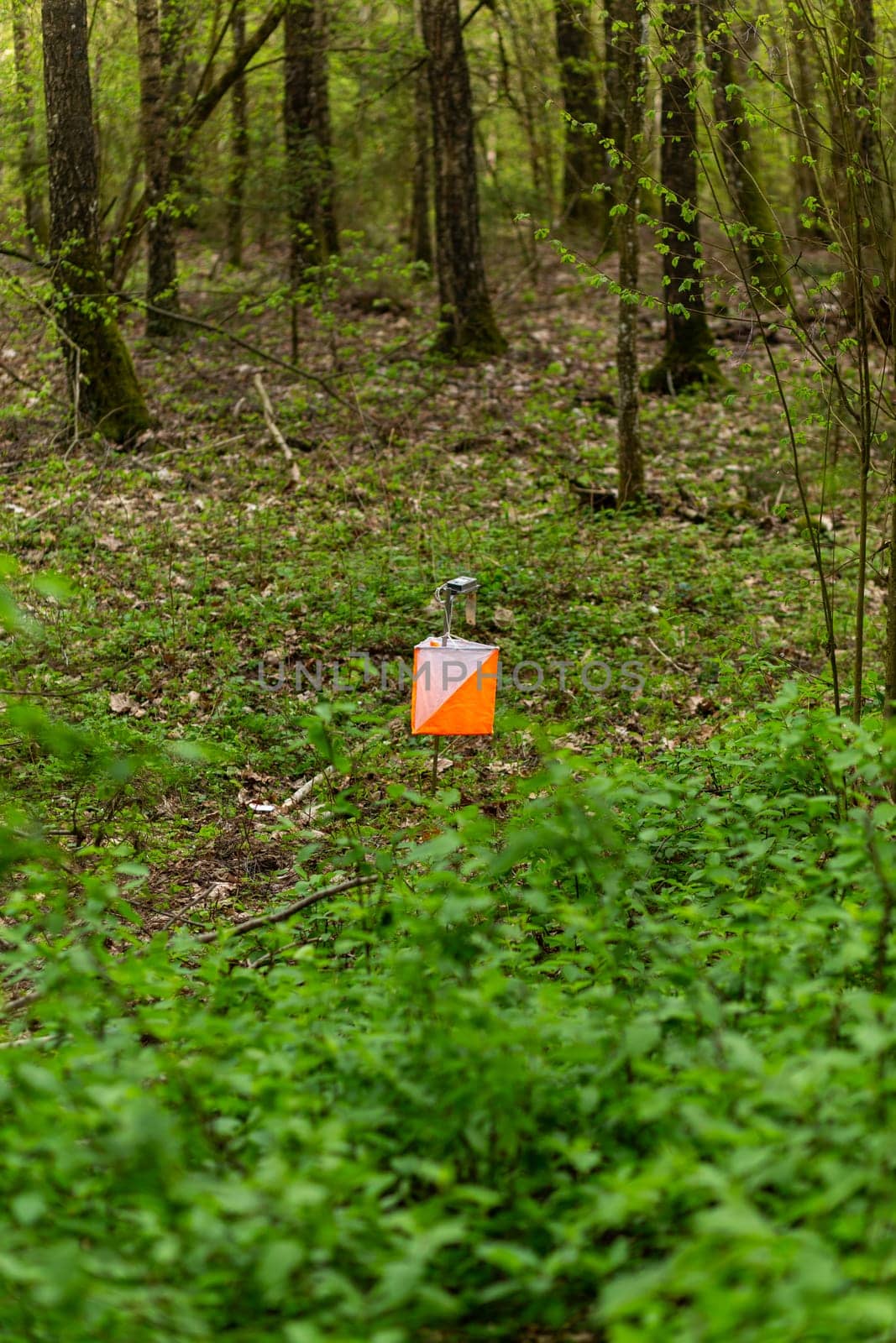 Orienteering. Control point Prism and electric composter for orienteering in the spring forest. by BY-_-BY