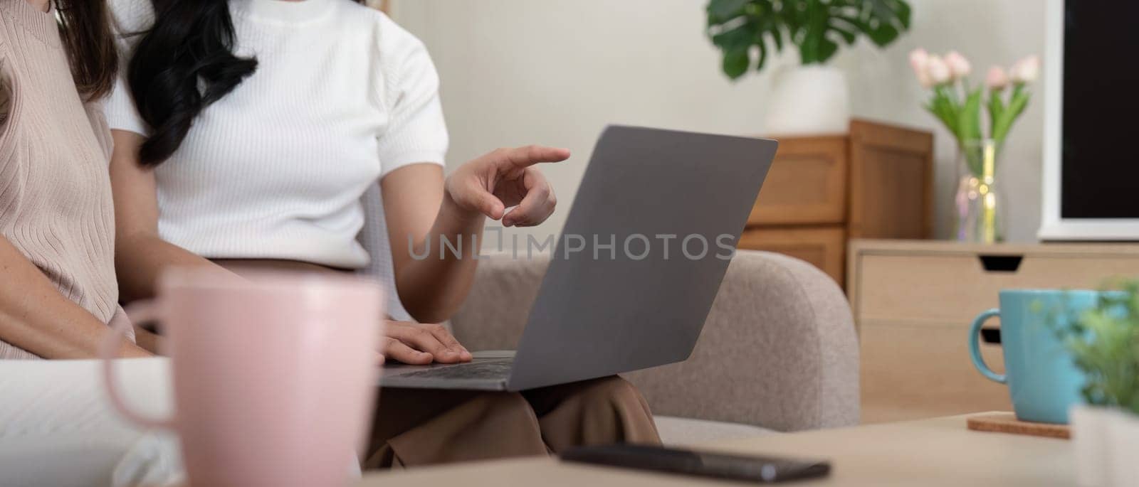 Senior mother and adult daughter relaxing and looking at laptop together at home.