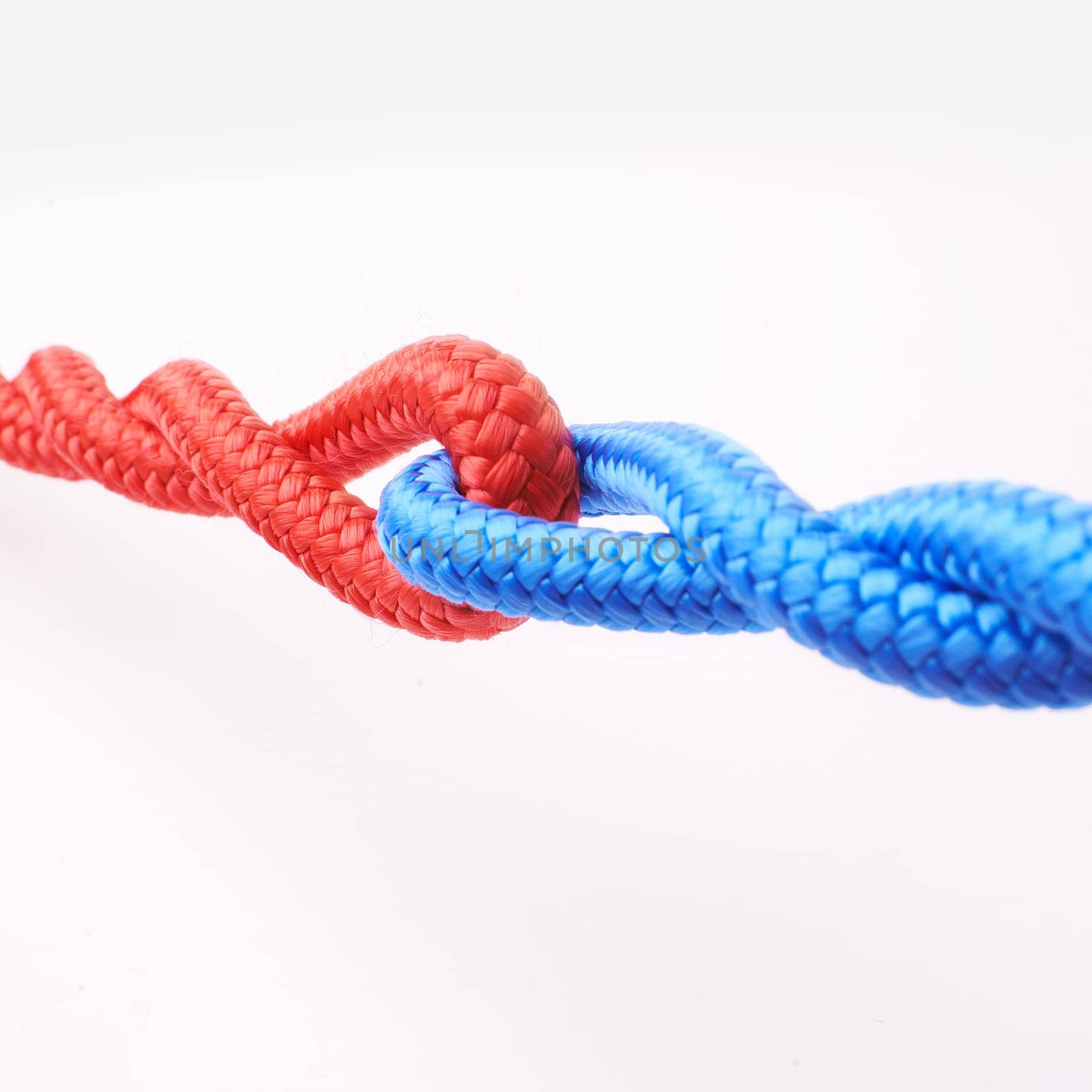 Ropes, connected and tied together in studio for fastening, towing and securing heavy equipment in construction. Cordage, colourful and strong for pulling, strength and hauling furniture safely.