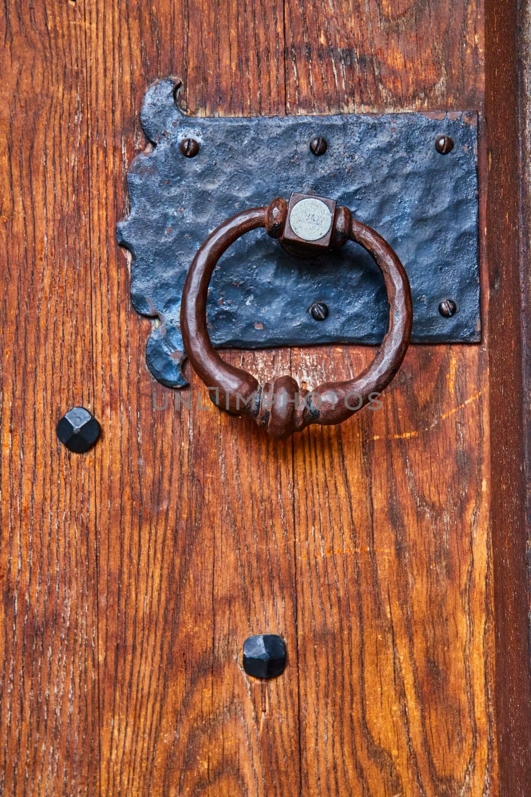Vintage door knocker on rustic wooden door at Bishop Simon Brute College, showcasing historical architecture.